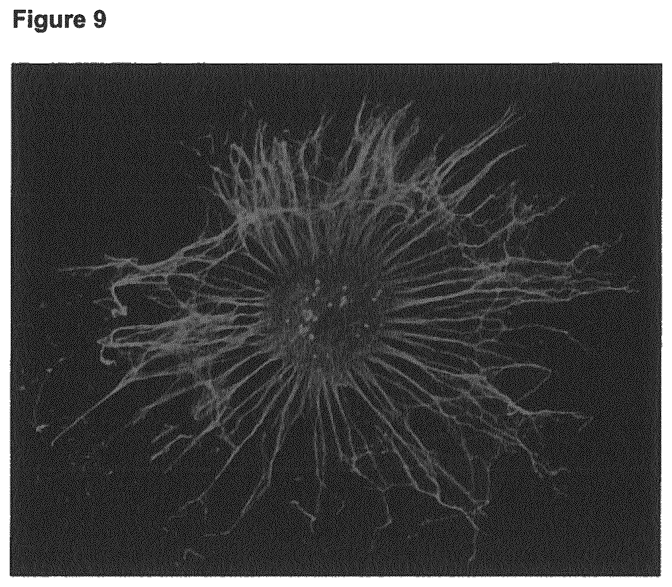 Patent US11779681 Figure 9 – Macroscopically alignable, injectable, soft hydrogel composition