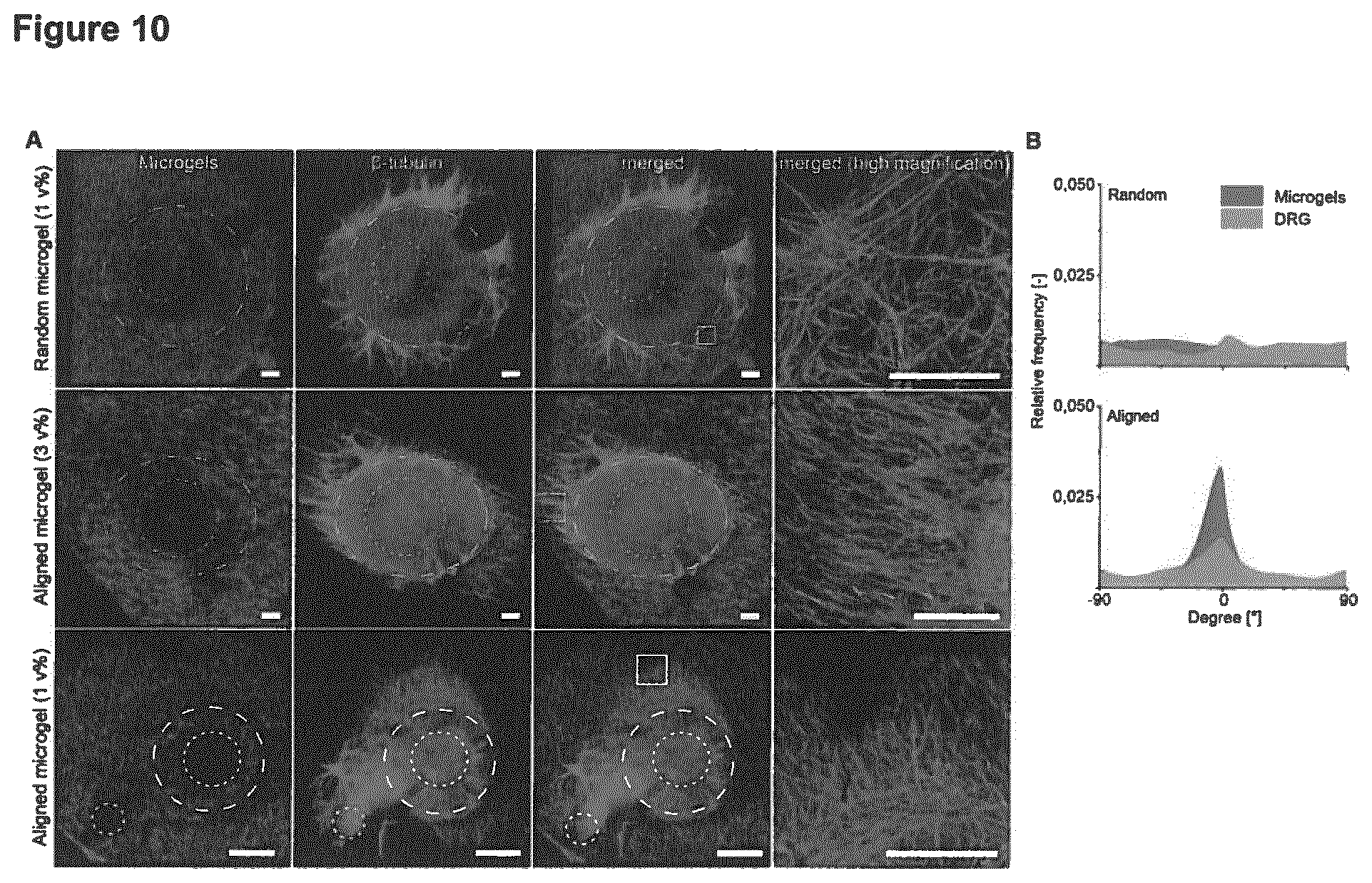 Patent US11779681 Figure 10 – Macroscopically alignable, injectable, soft hydrogel composition