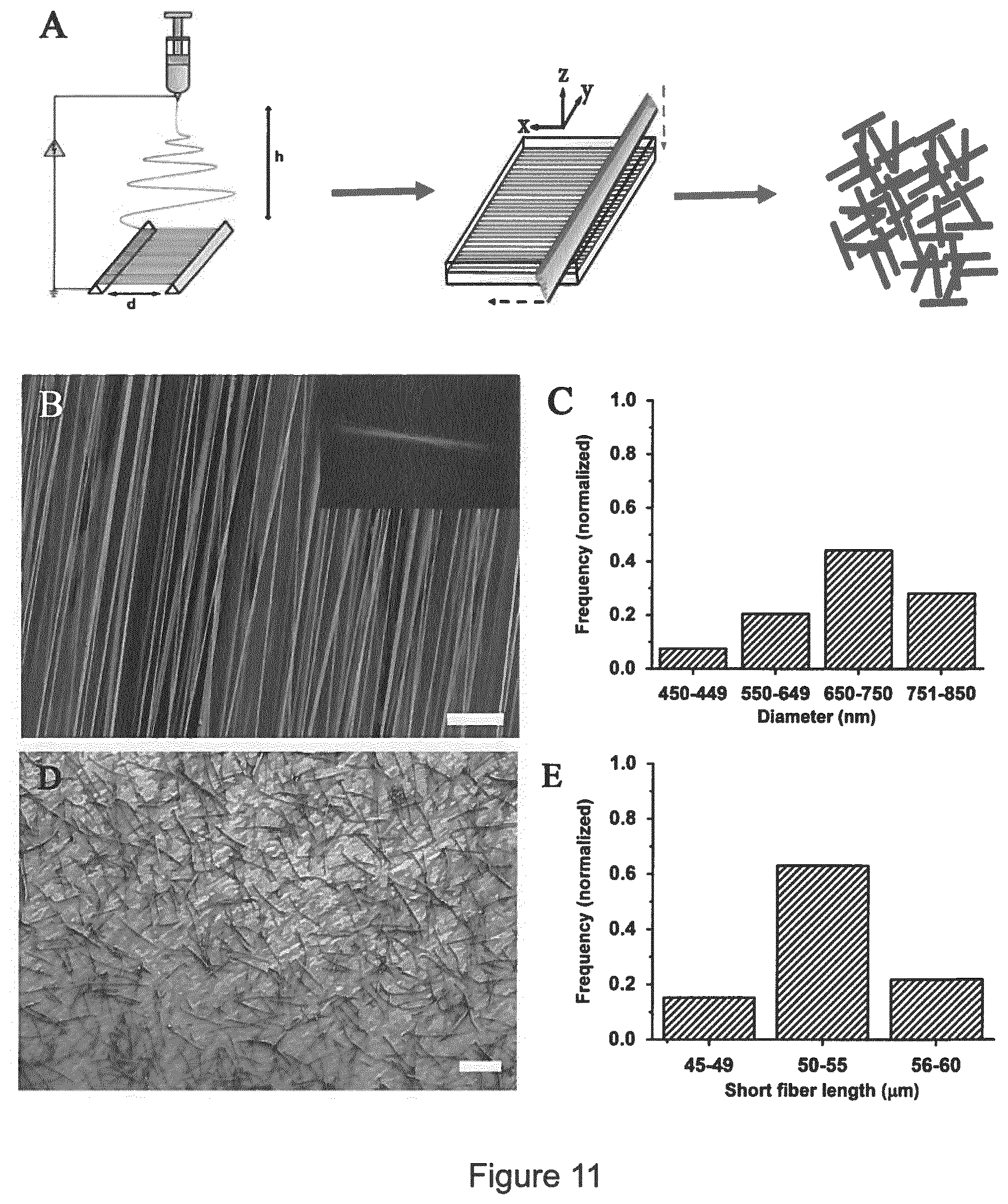 Patent US11779681 Figure 11 – Macroscopically alignable, injectable, soft hydrogel composition