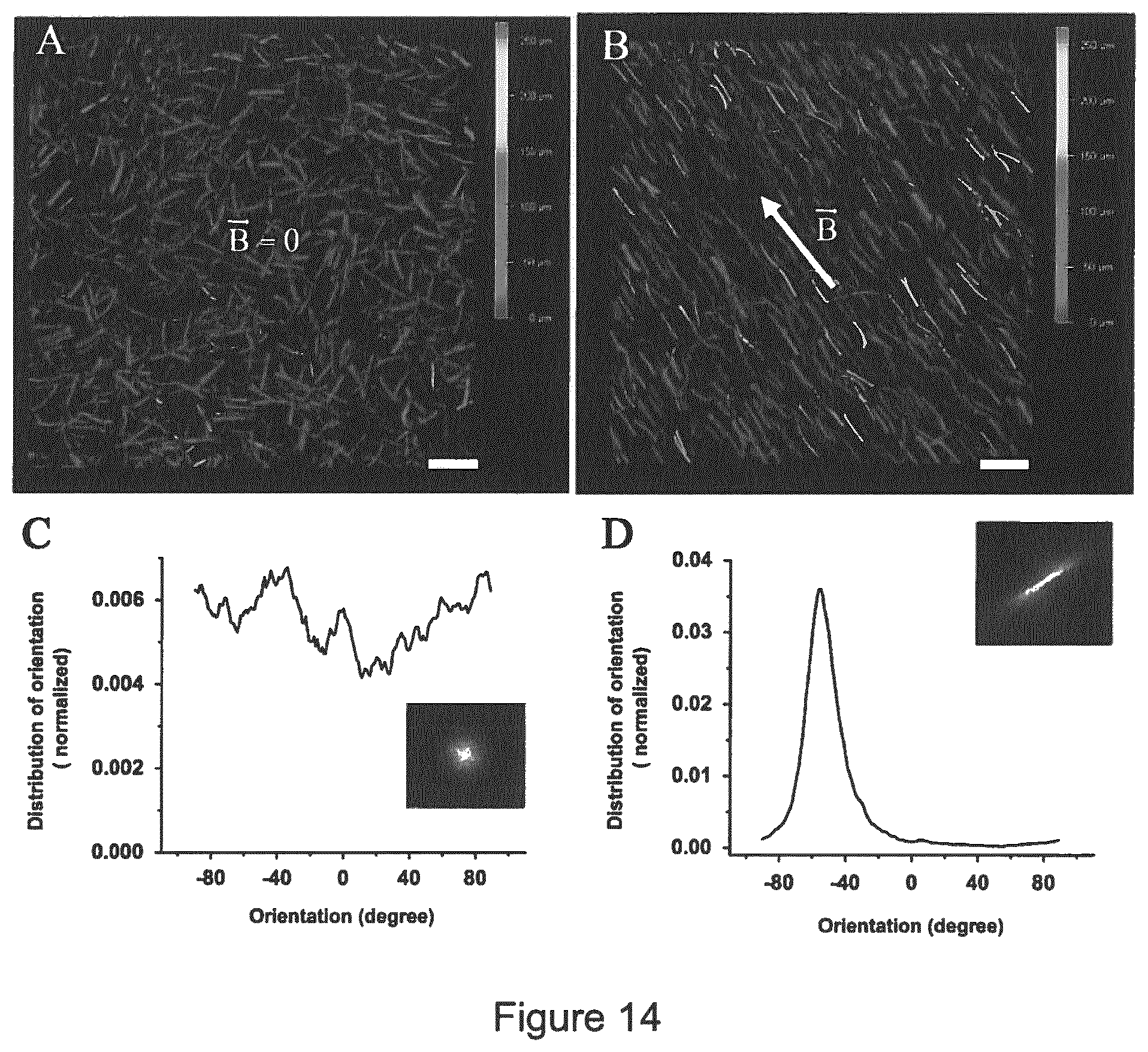 Patent US11779681 Figure 14 – Macroscopically alignable, injectable, soft hydrogel composition