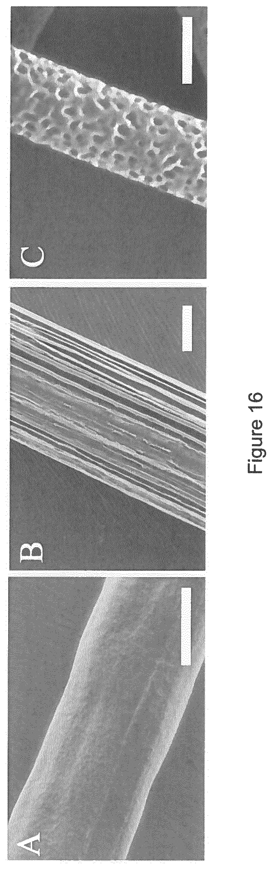 Patent US11779681 Figure 16 – Macroscopically alignable, injectable, soft hydrogel composition