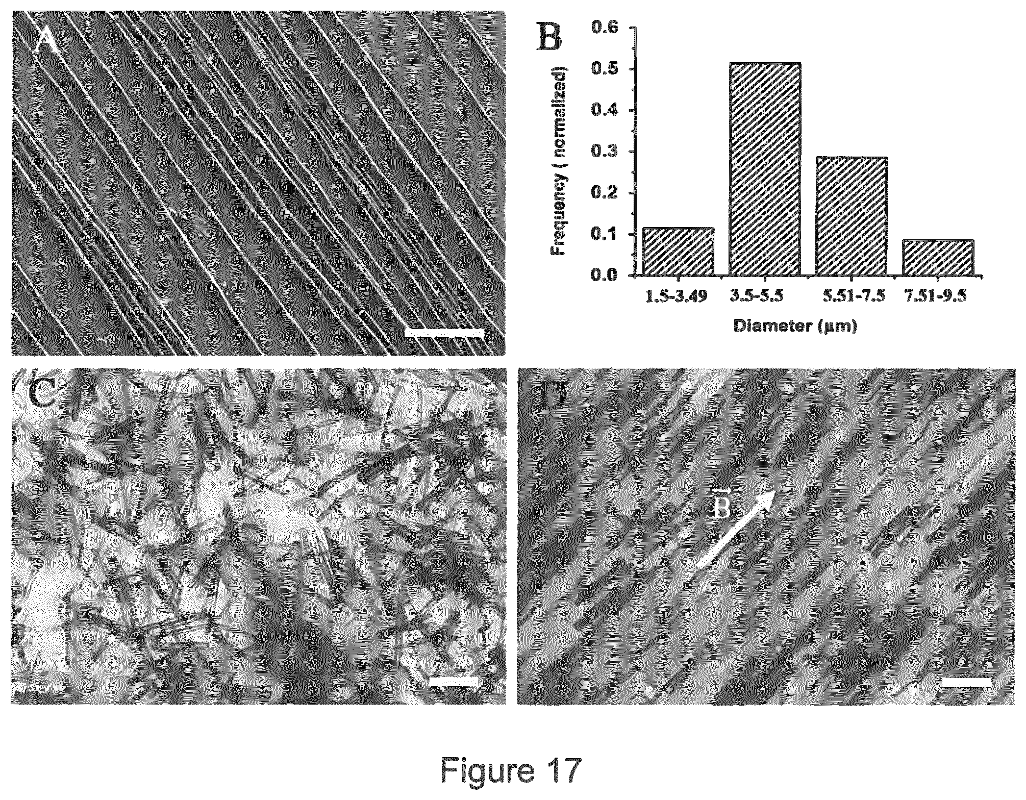 Patent US11779681 Figure 17 – Macroscopically alignable, injectable, soft hydrogel composition