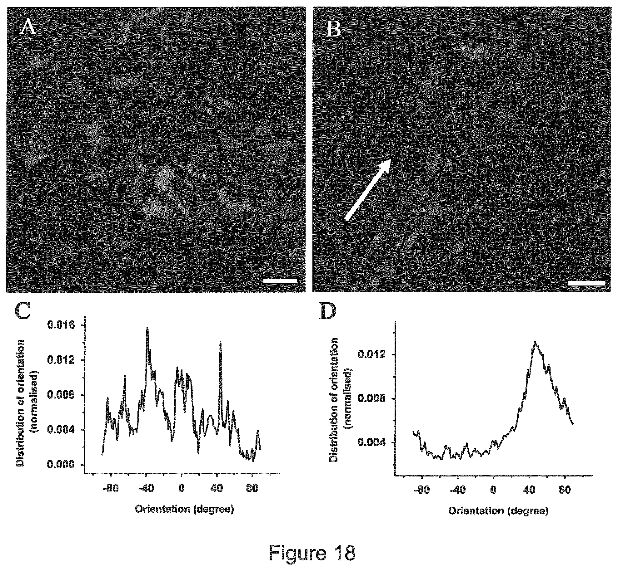 Patent US11779681 Figure 18 – Macroscopically alignable, injectable, soft hydrogel composition