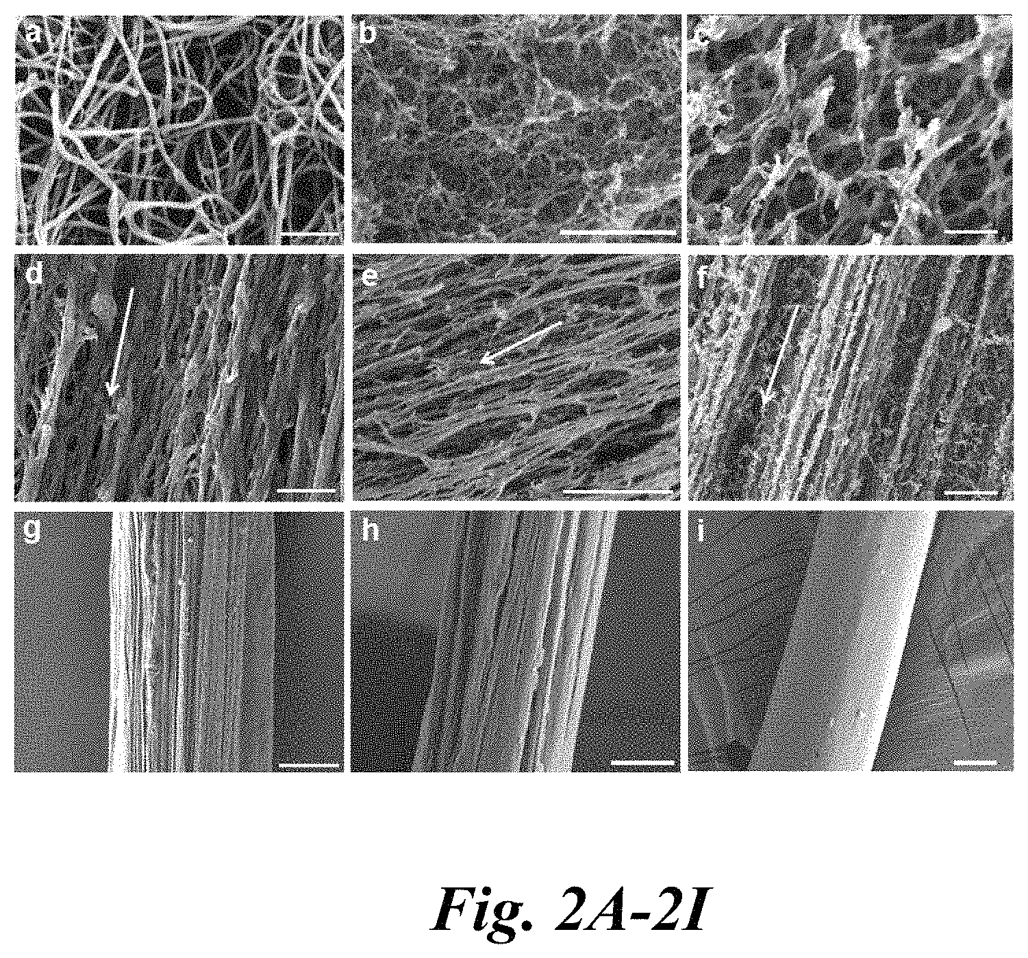 Patent US11779682 Figure 2 – Electro-mechanically stretched micro fibers and methods of use thereof