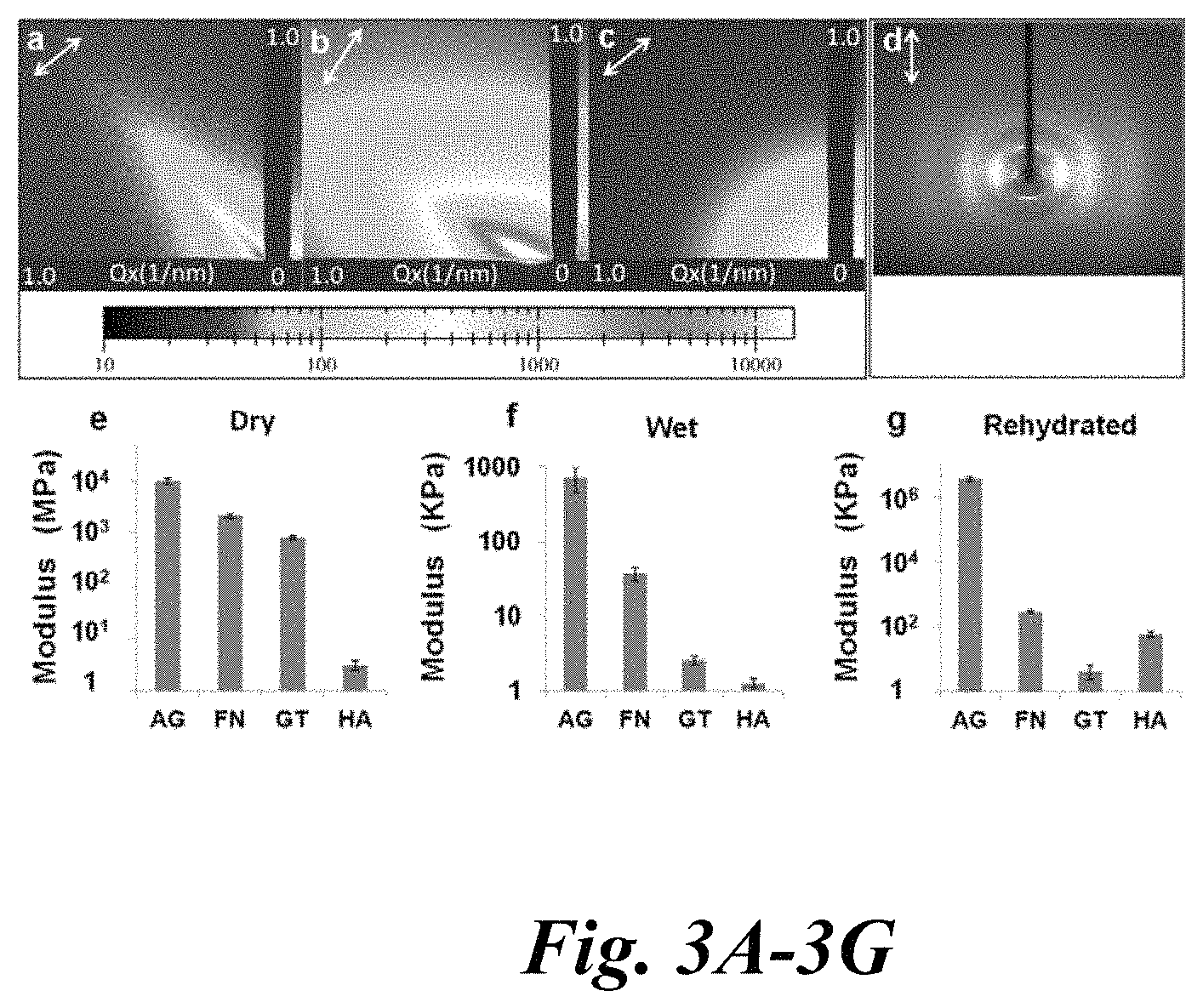 Patent US11779682 Figure 3 – Electro-mechanically stretched micro fibers and methods of use thereof