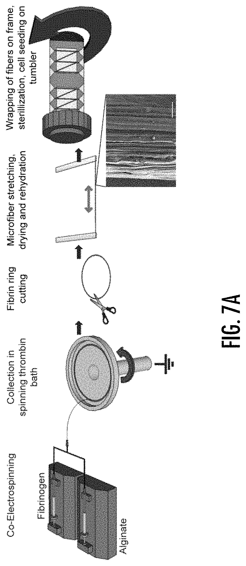 Patent US11779682 Figure 7 – Electro-mechanically stretched micro fibers and methods of use thereof