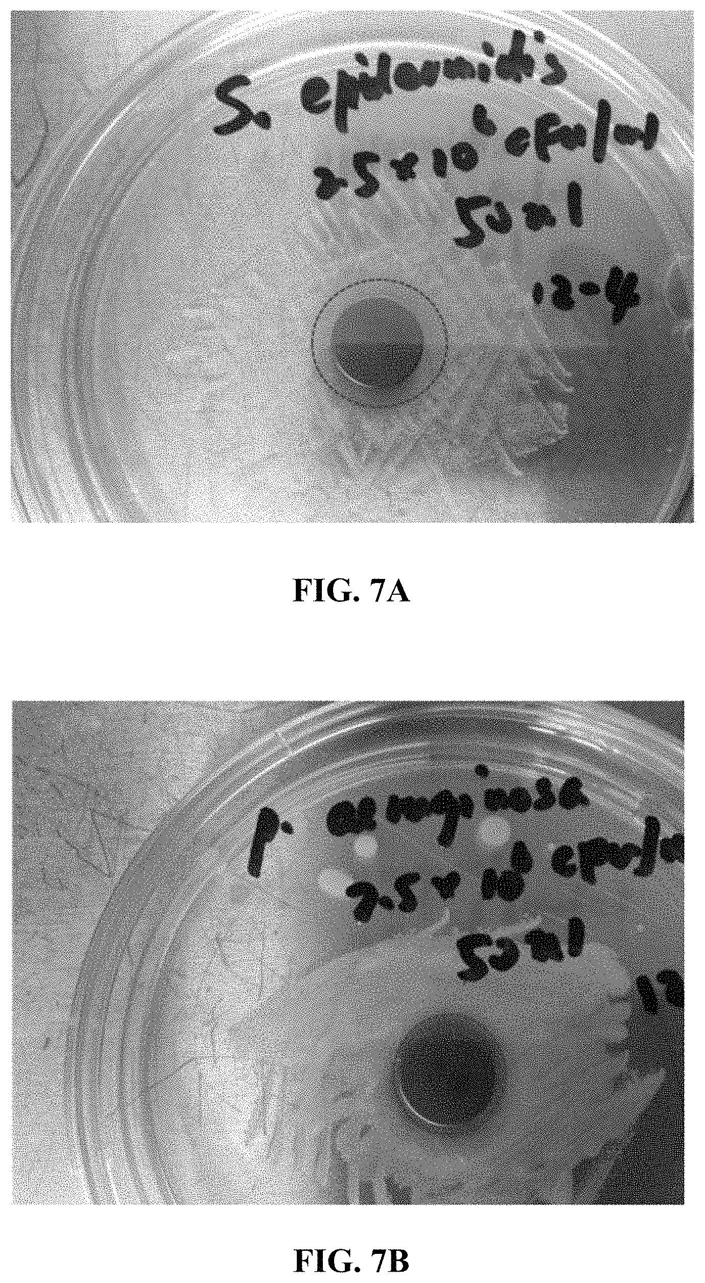 Patent US11779684 Figure 8 – Anti-microbial device and method for its manufacture