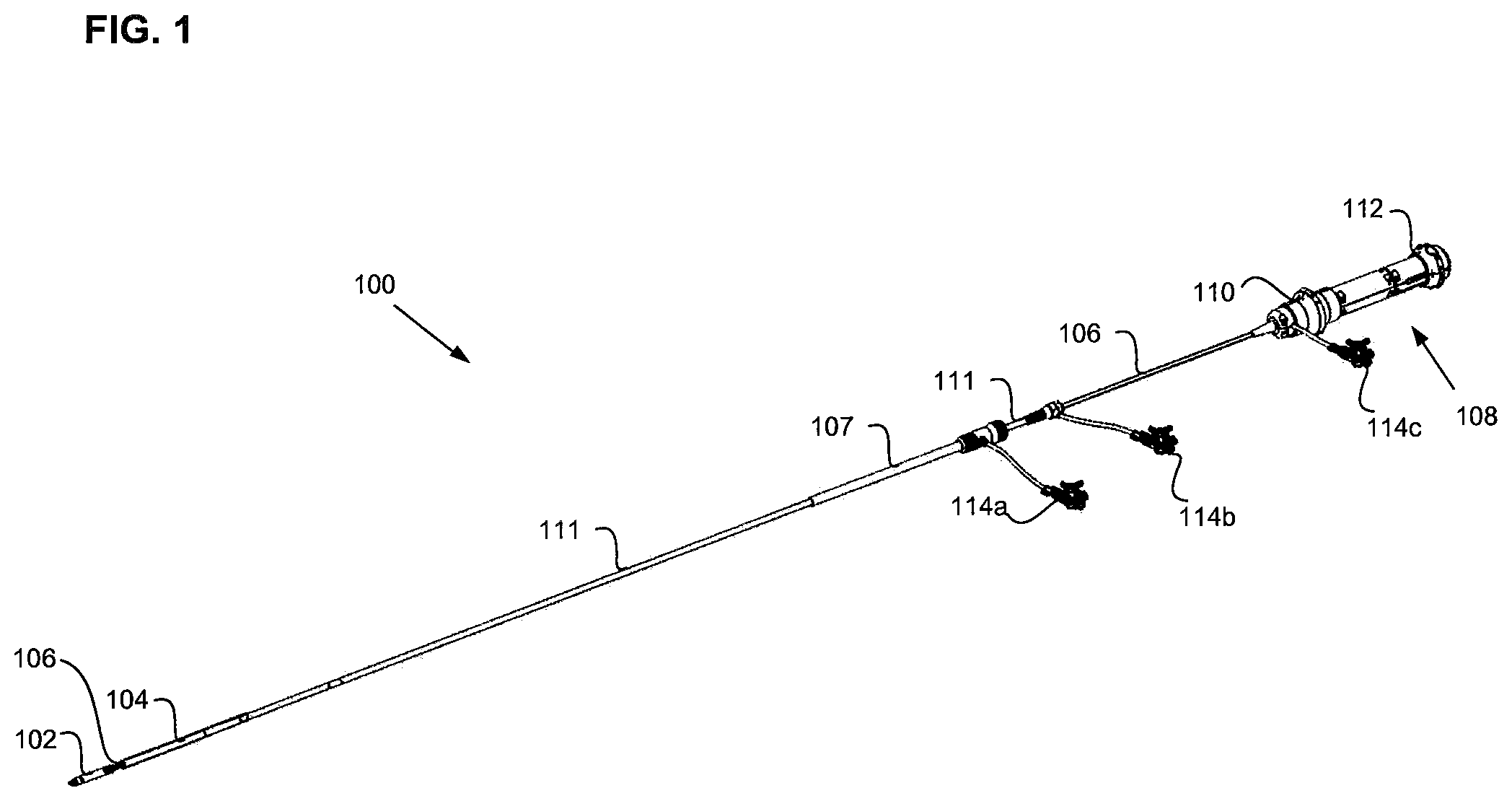 Patent US11779731 Figure 1 – Delivery catheter systems and methods