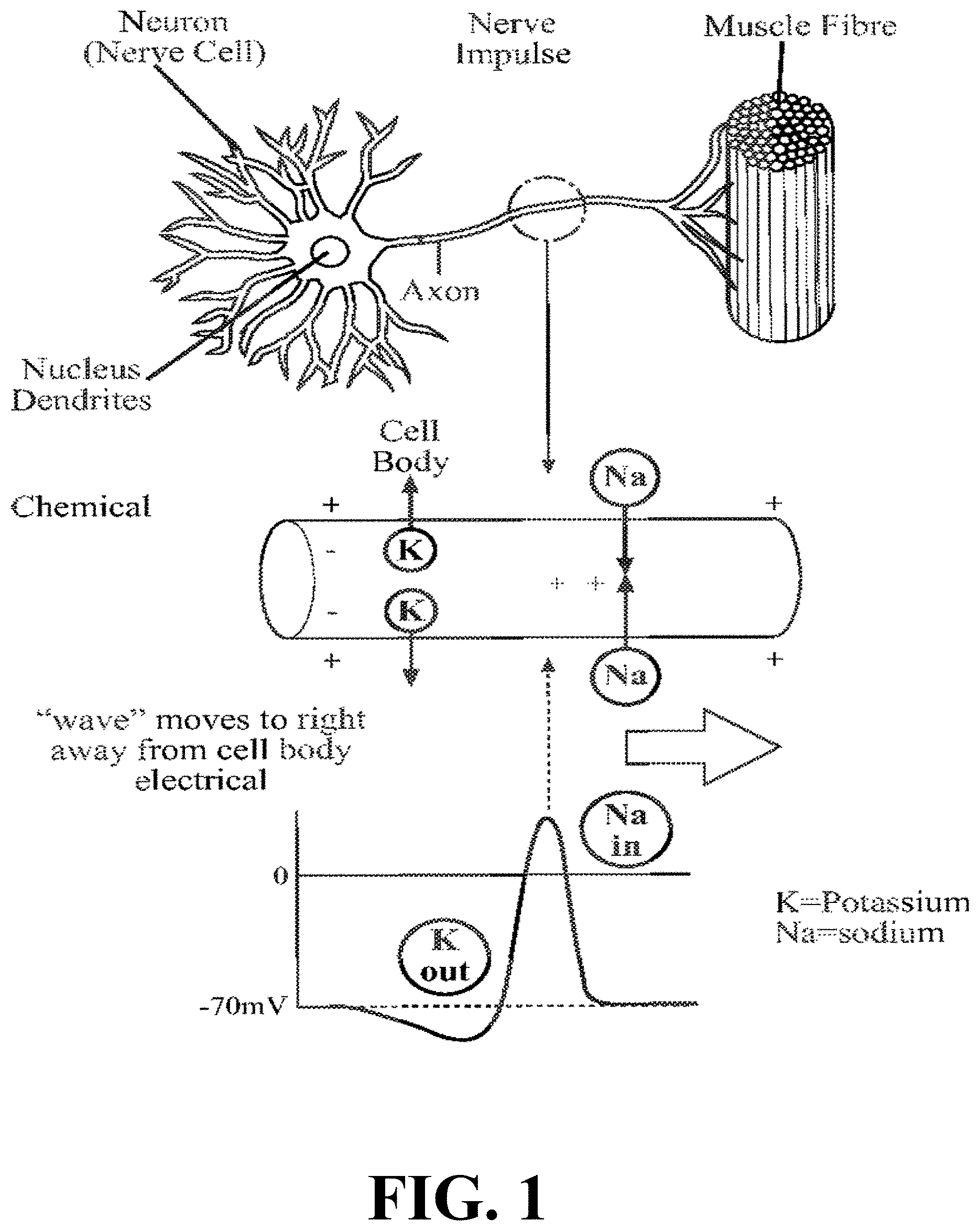 Patent US11779761 Figure 1 – Non-invasive nerve stimulation