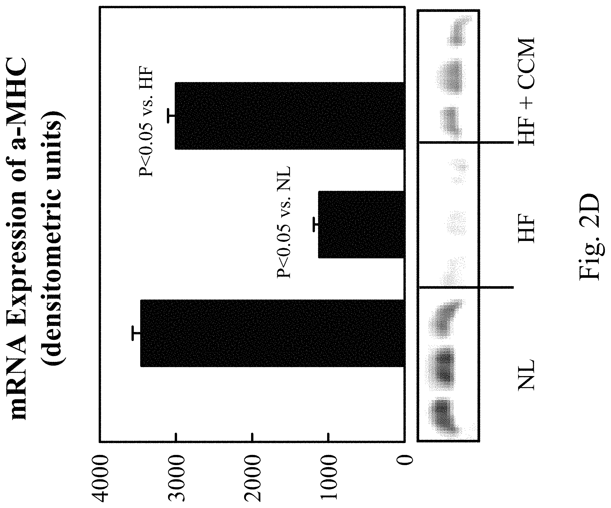 Patent US11779768 Figure 5 – Protein activity modification