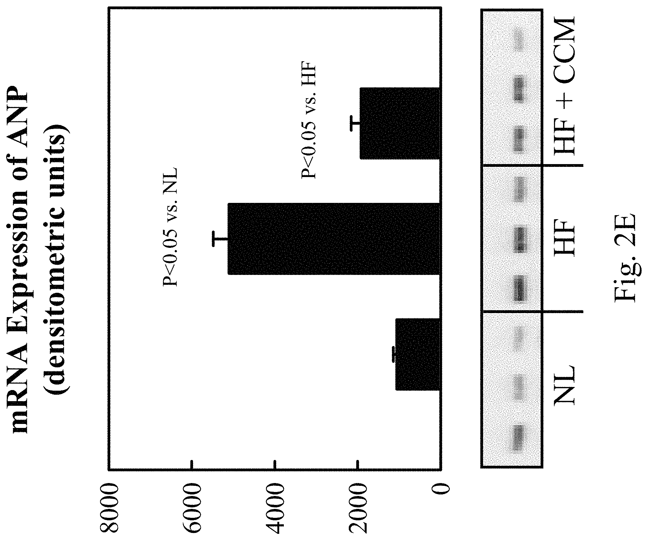 Patent US11779768 Figure 6 – Protein activity modification