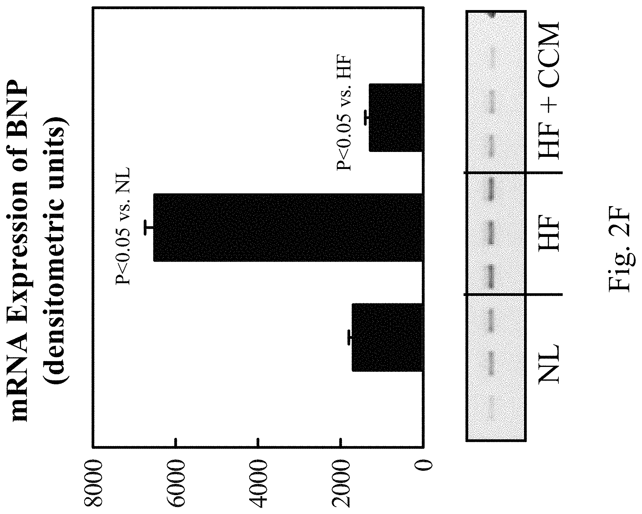 Patent US11779768 Figure 7 – Protein activity modification