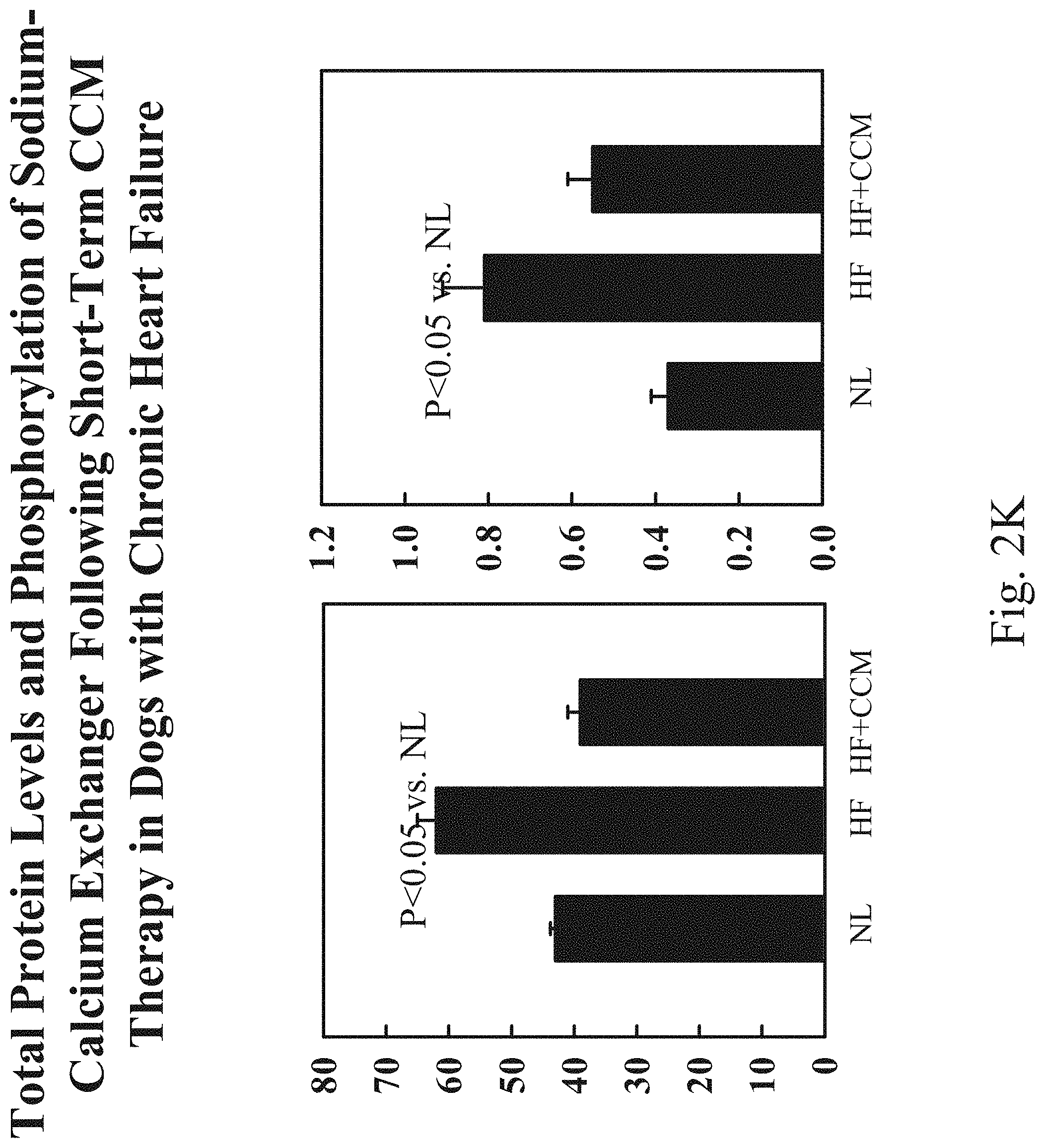 Patent US11779768 Figure 12 – Protein activity modification