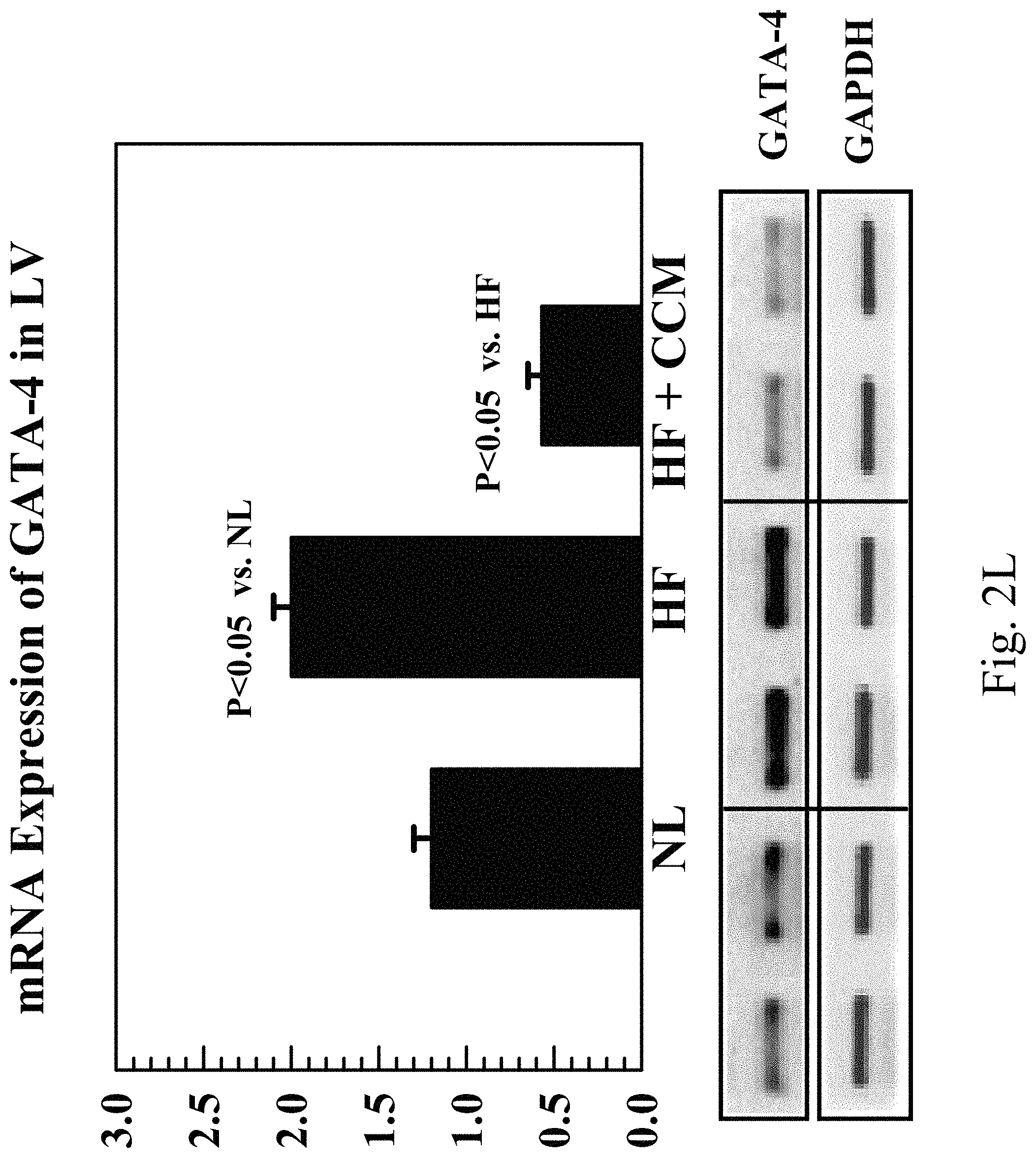 Patent US11779768 Figure 13 – Protein activity modification