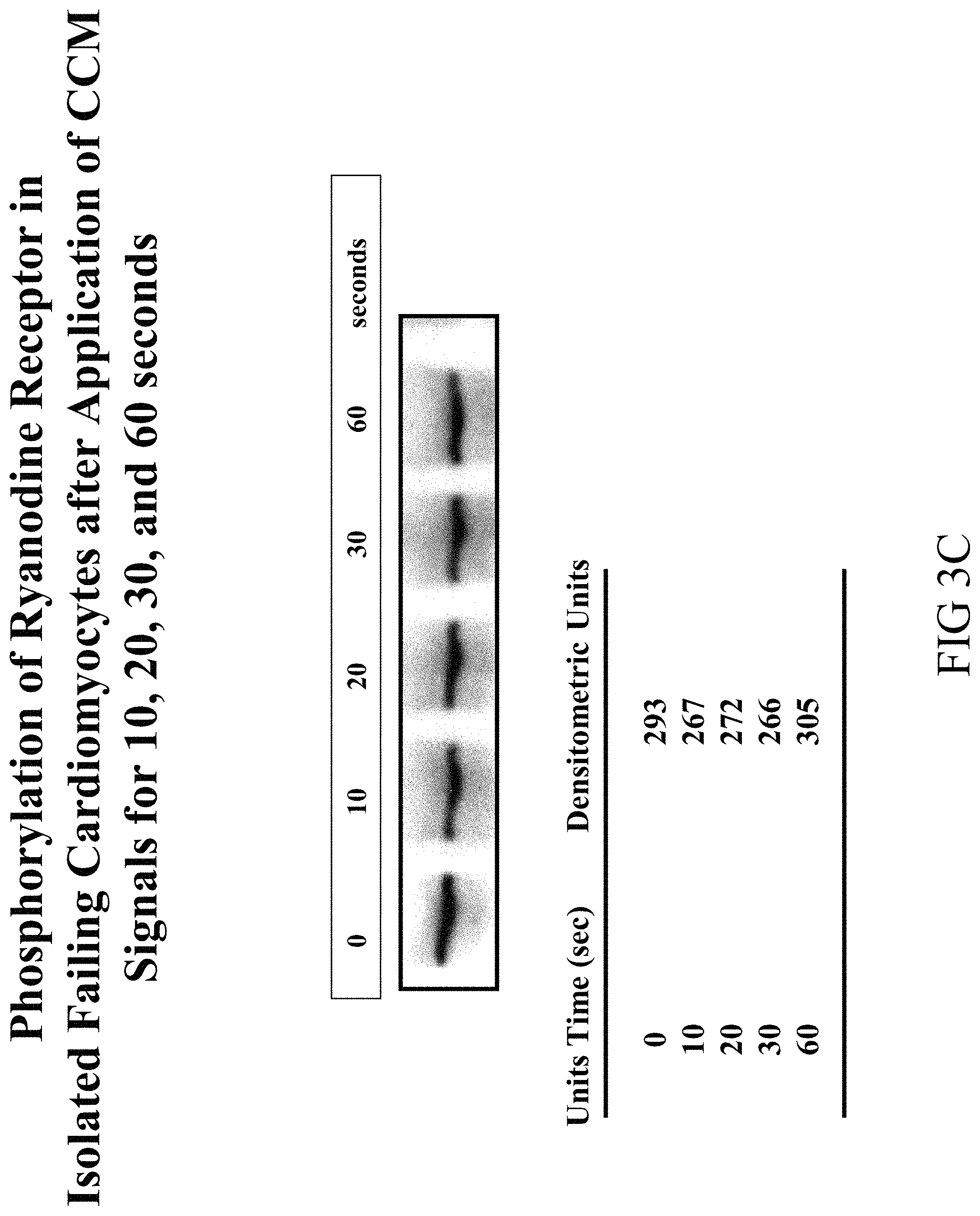 Patent US11779768 Figure 19 – Protein activity modification