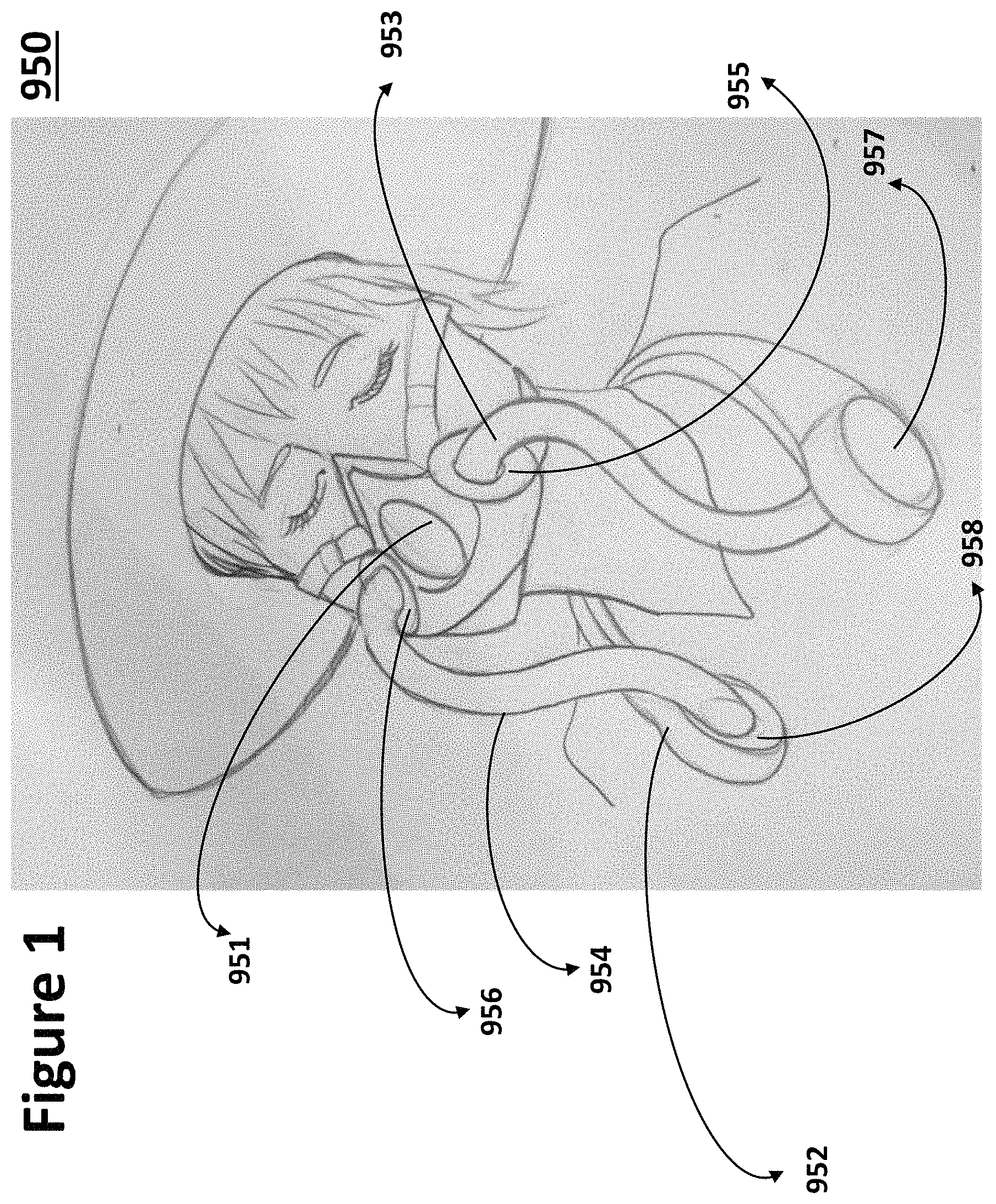 Patent US11779781 Figure 1 – Face mask with a neck hanger