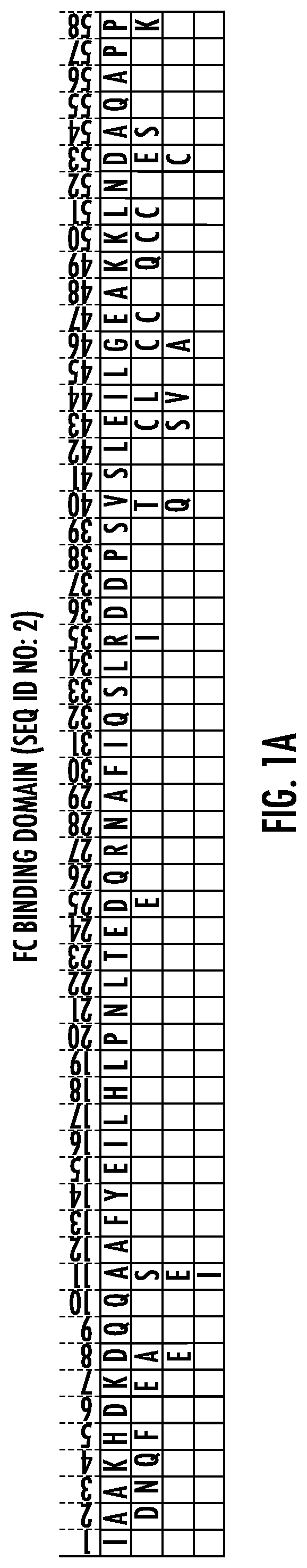 Patent US11779860 — Fc binding proteins with cysteine in the C-terminal helical region — Figure 1