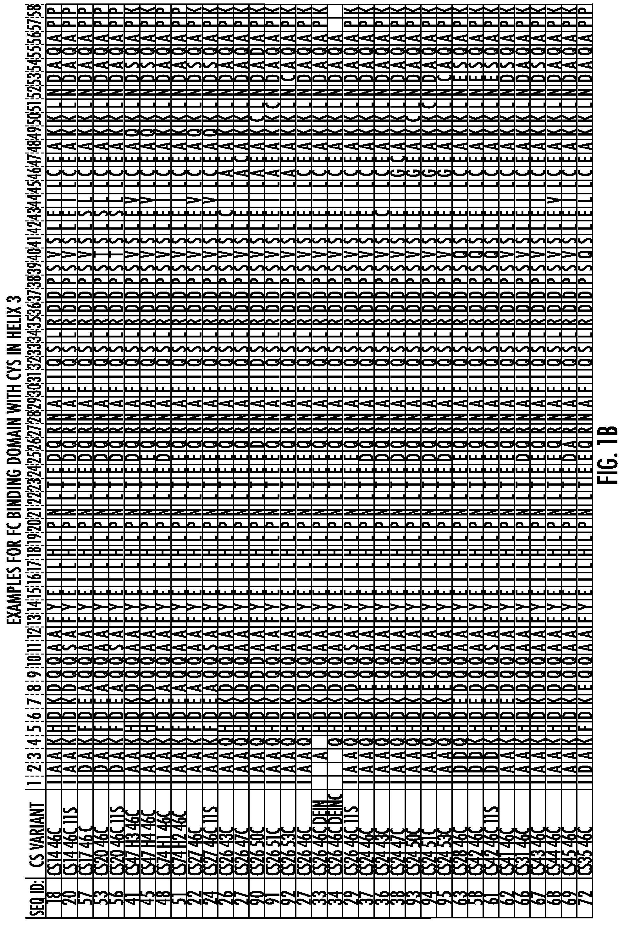 Patent US11779860 Figure 2 – Fc binding proteins with cysteine in the C-terminal helical region