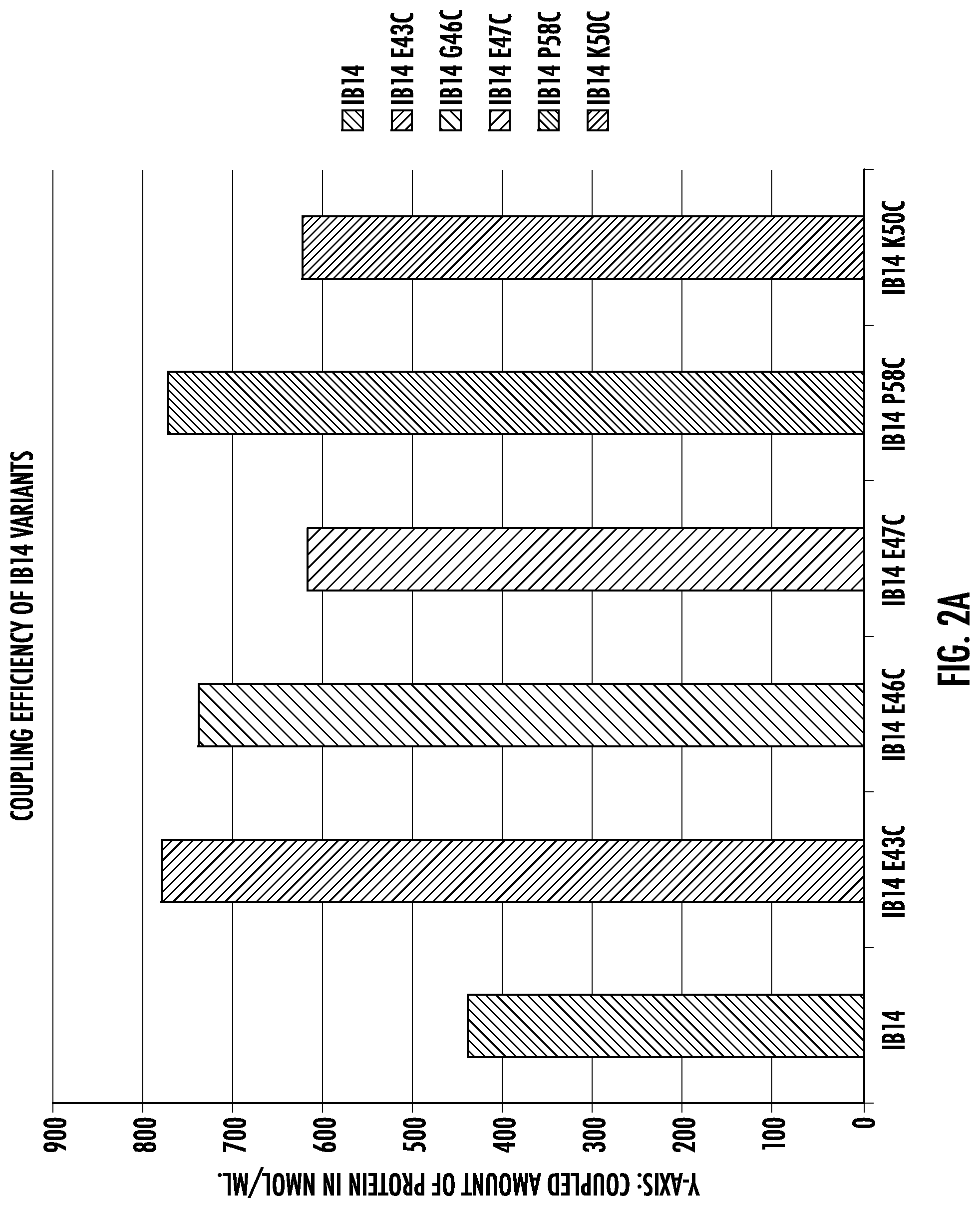 Patent US11779860 Figure 3 – Fc binding proteins with cysteine in the C-terminal helical region