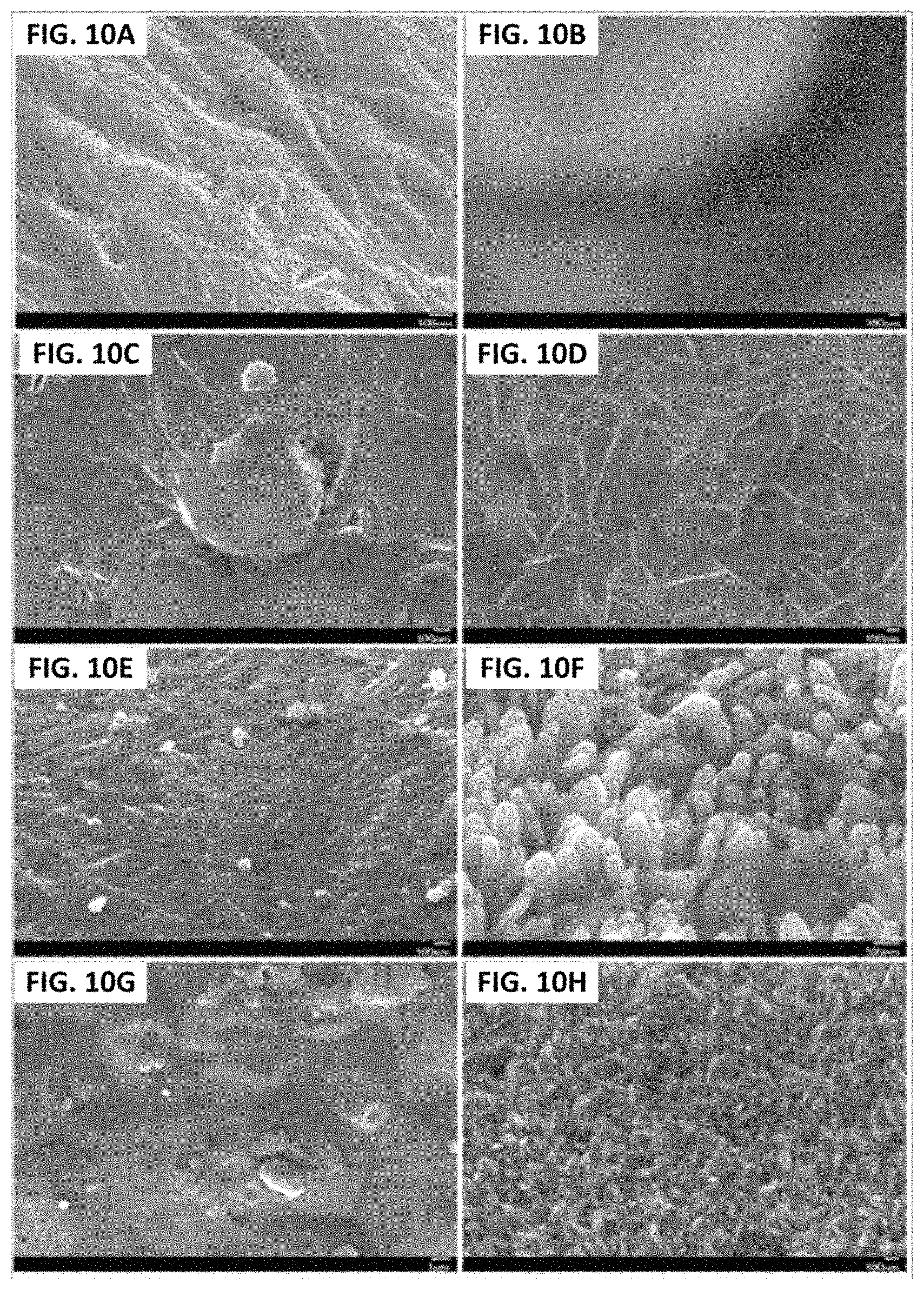 Patent US11779862 Figure 10 – Composite for oil-water separation, synthesis methods and applications of same