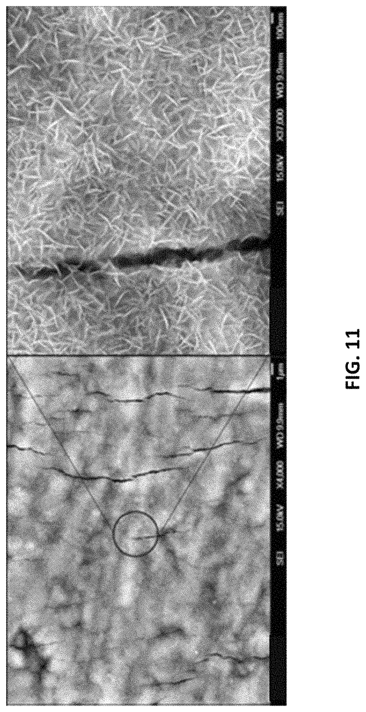 Patent US11779862 Figure 11 – Composite for oil-water separation, synthesis methods and applications of same