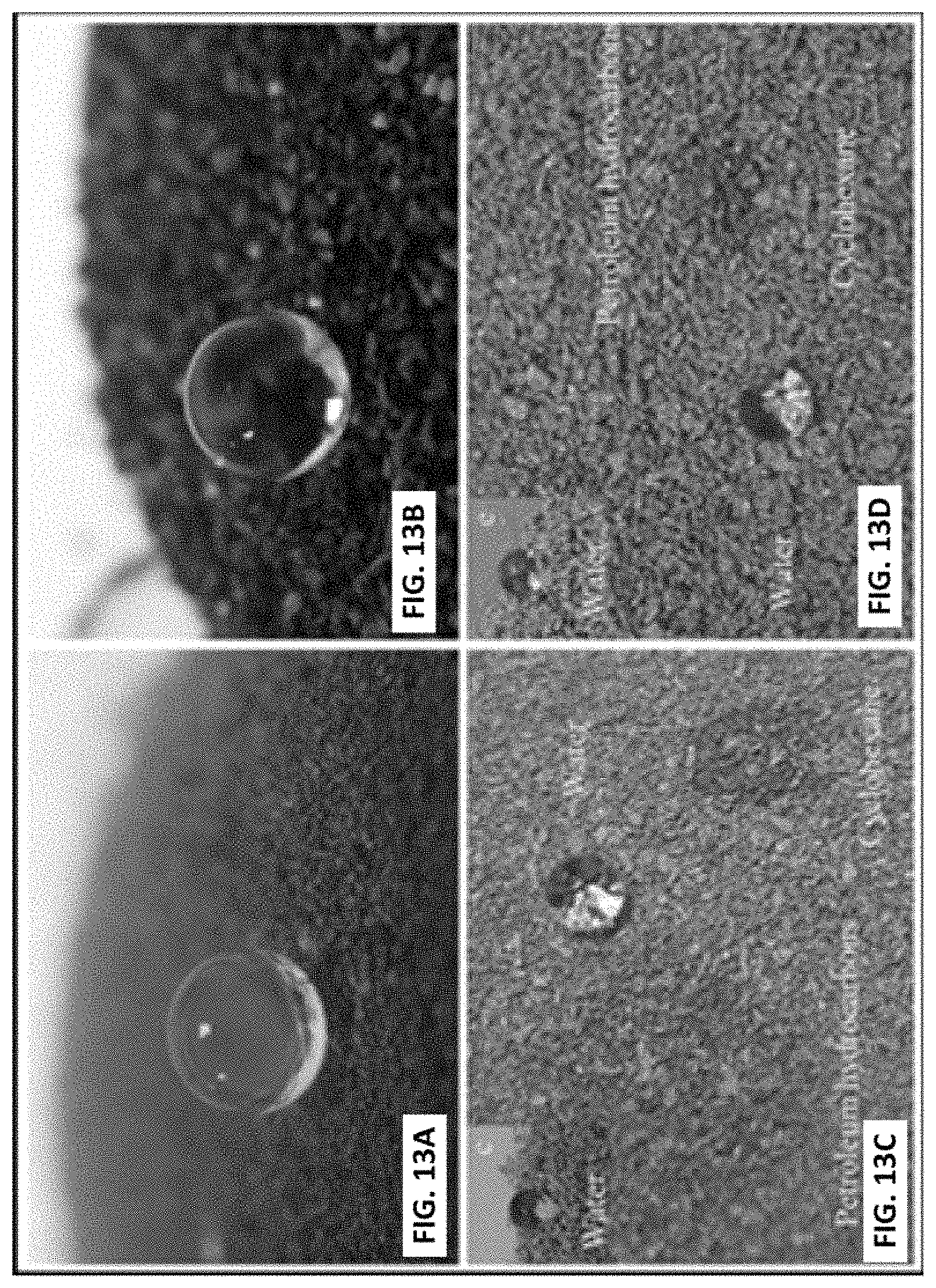 Patent US11779862 Figure 13 – Composite for oil-water separation, synthesis methods and applications of same