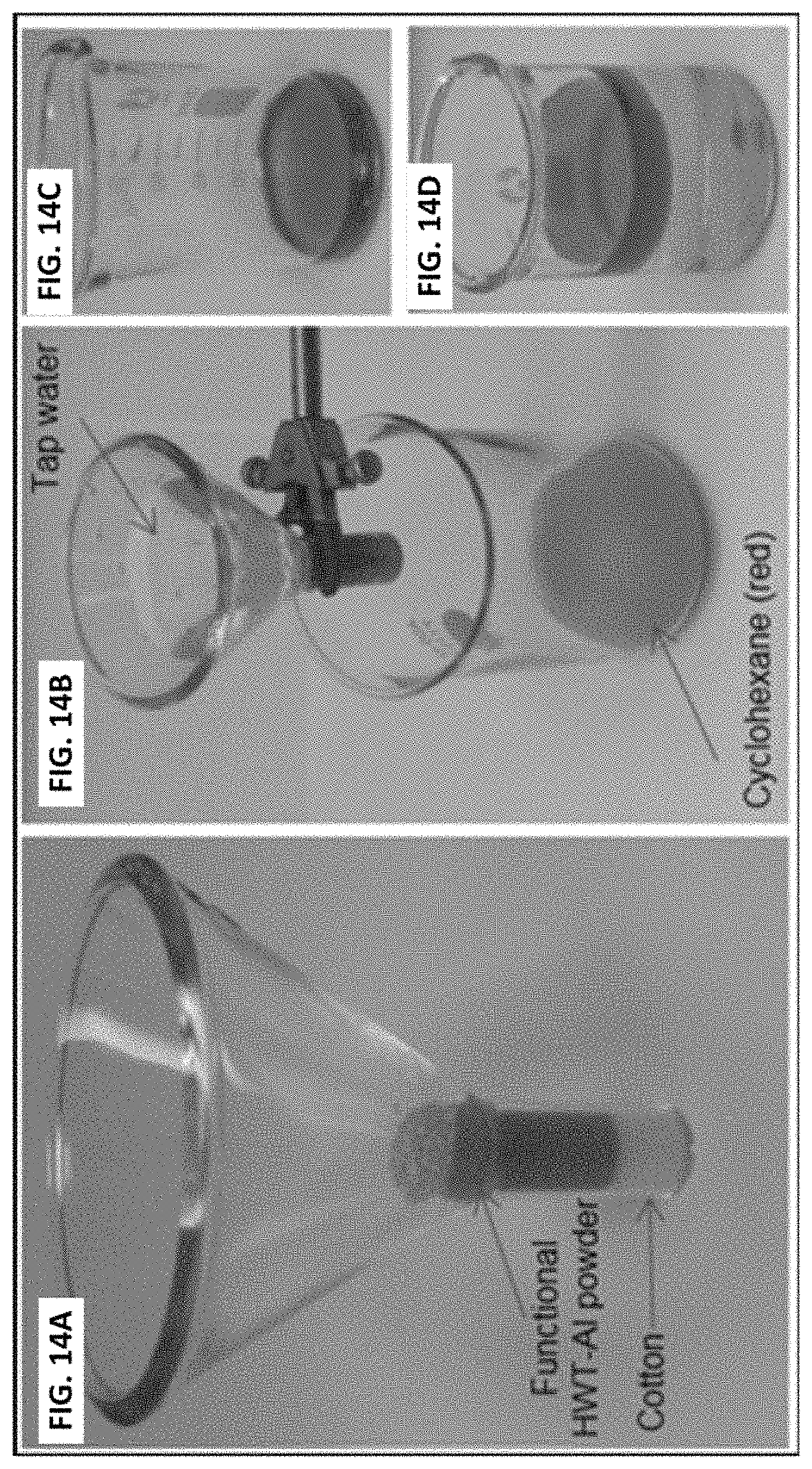 Patent US11779862 Figure 14 – Composite for oil-water separation, synthesis methods and applications of same