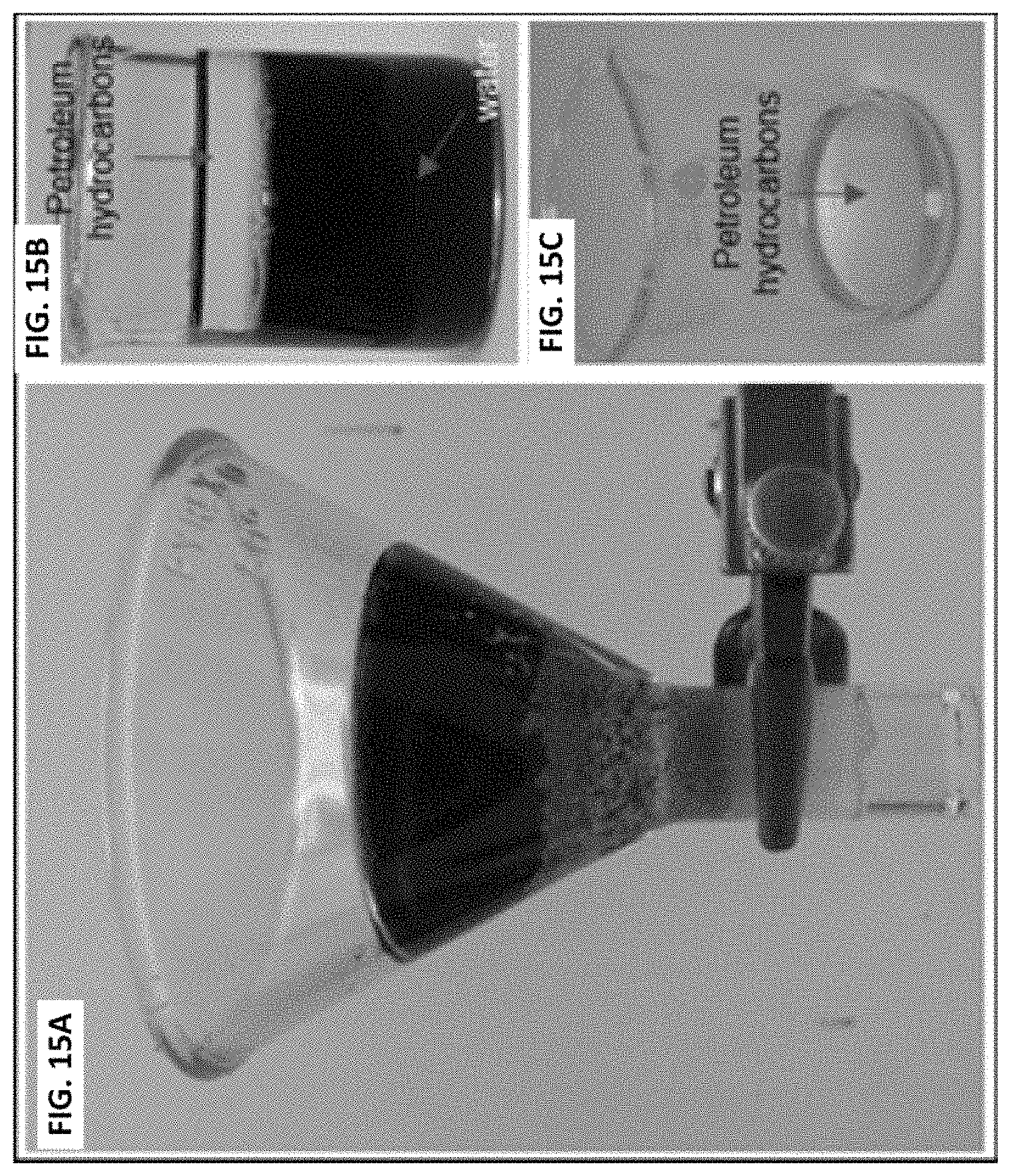 Patent US11779862 Figure 15 – Composite for oil-water separation, synthesis methods and applications of same
