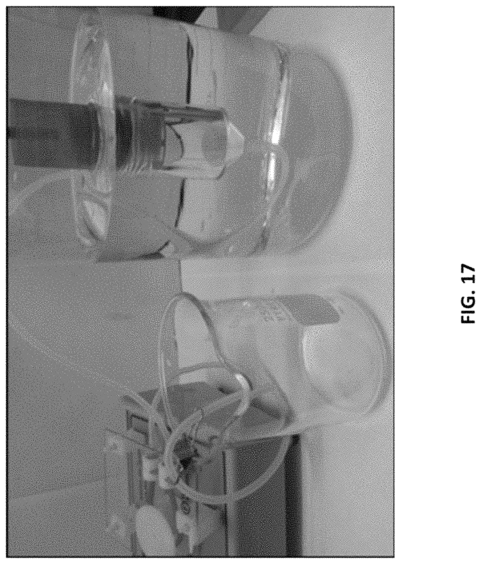 Patent US11779862 Figure 17 – Composite for oil-water separation, synthesis methods and applications of same