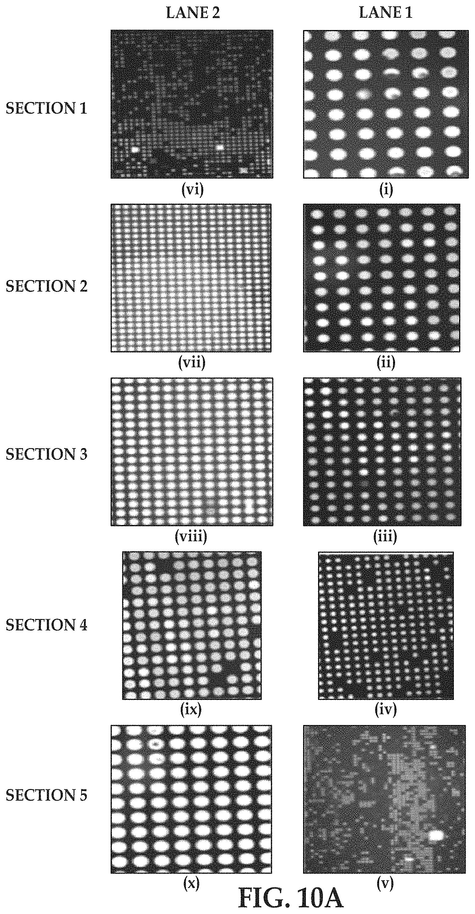 Patent US11779897 Figure 11 – Flow cells using sequencing-ready nucleic acid fragments attached to carrier beads immobilized at capture sites of a plurality of chambers