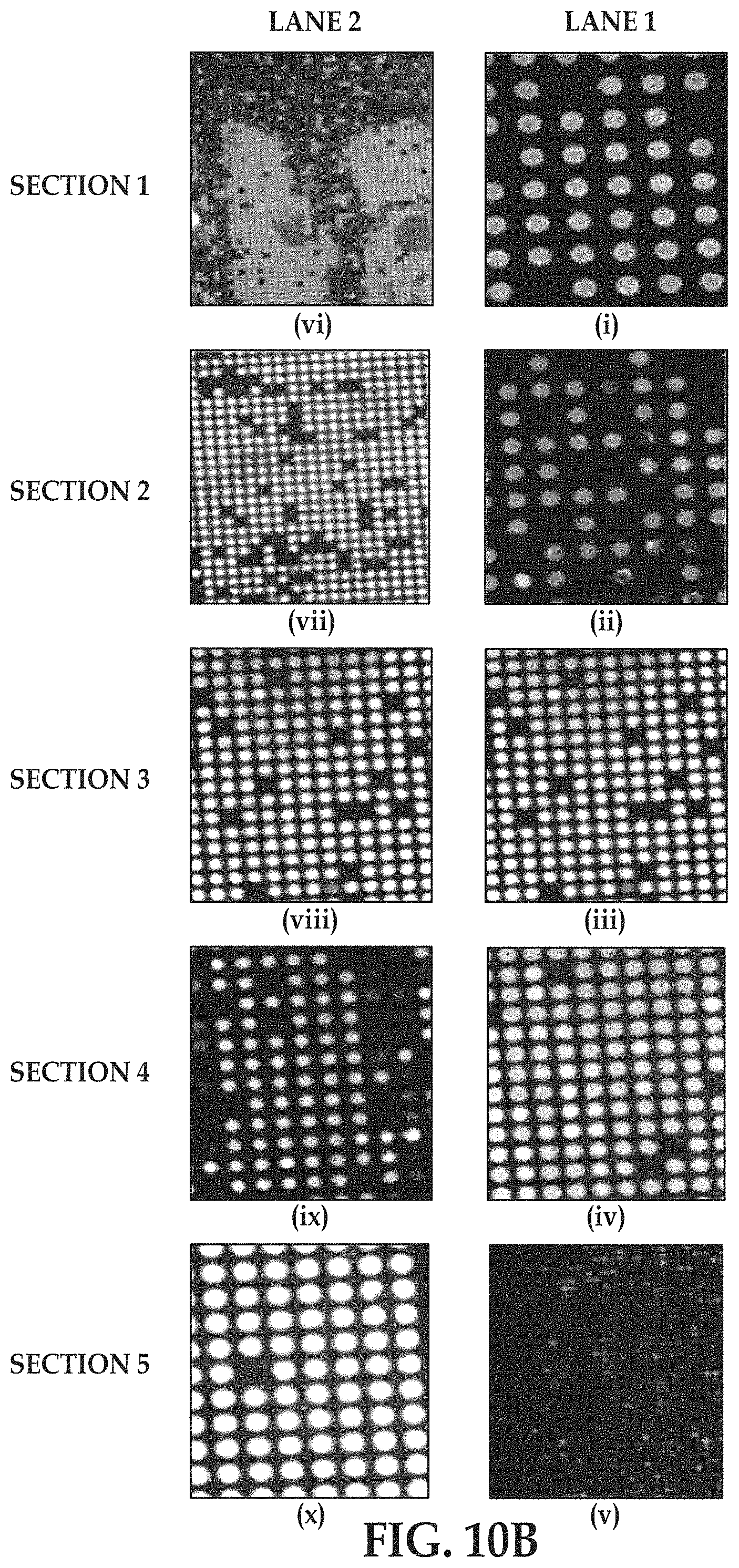 Patent US11779897 Figure 12 – Flow cells using sequencing-ready nucleic acid fragments attached to carrier beads immobilized at capture sites of a plurality of chambers