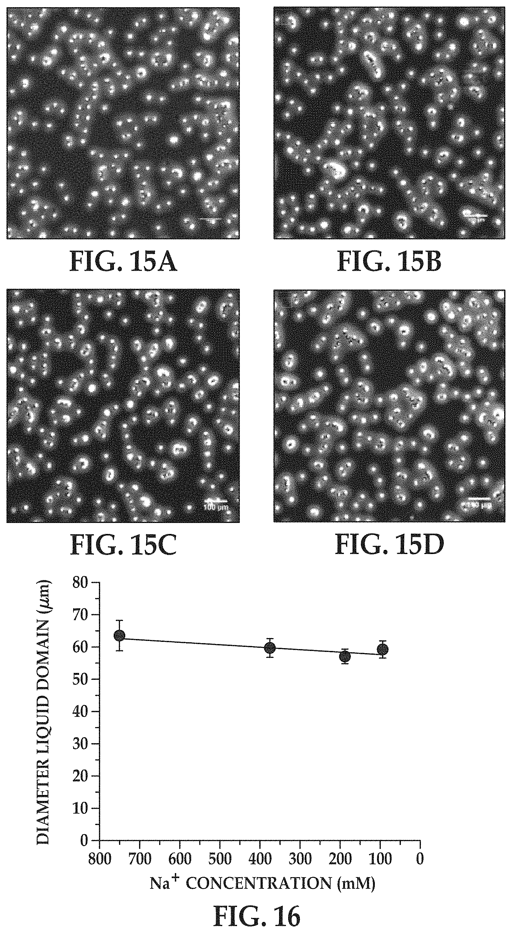 Patent US11779897 Figure 15 – Flow cells using sequencing-ready nucleic acid fragments attached to carrier beads immobilized at capture sites of a plurality of chambers