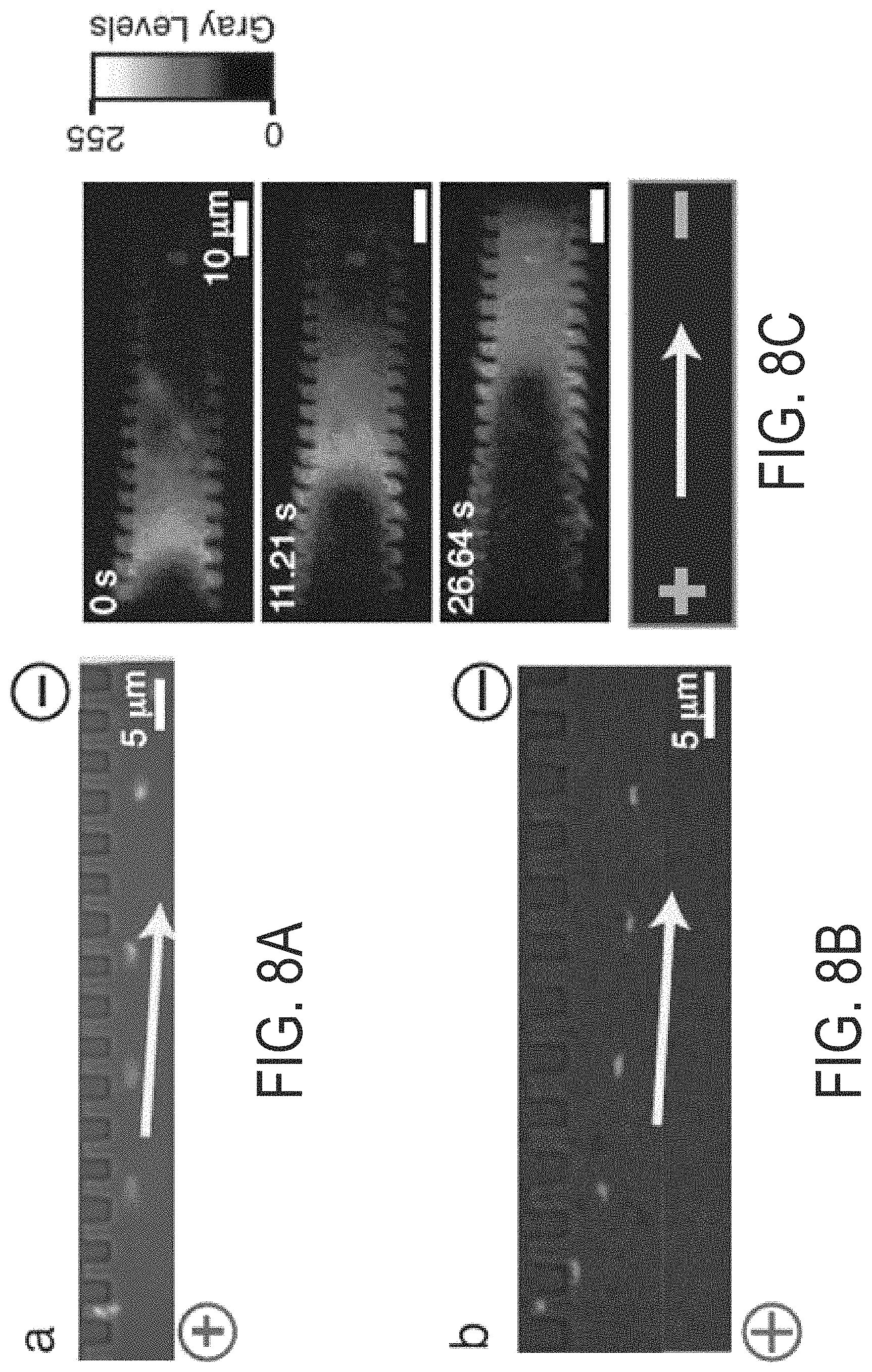 Patent US11779922 Figure 17 – System and method for en masse patterning of molecule structures