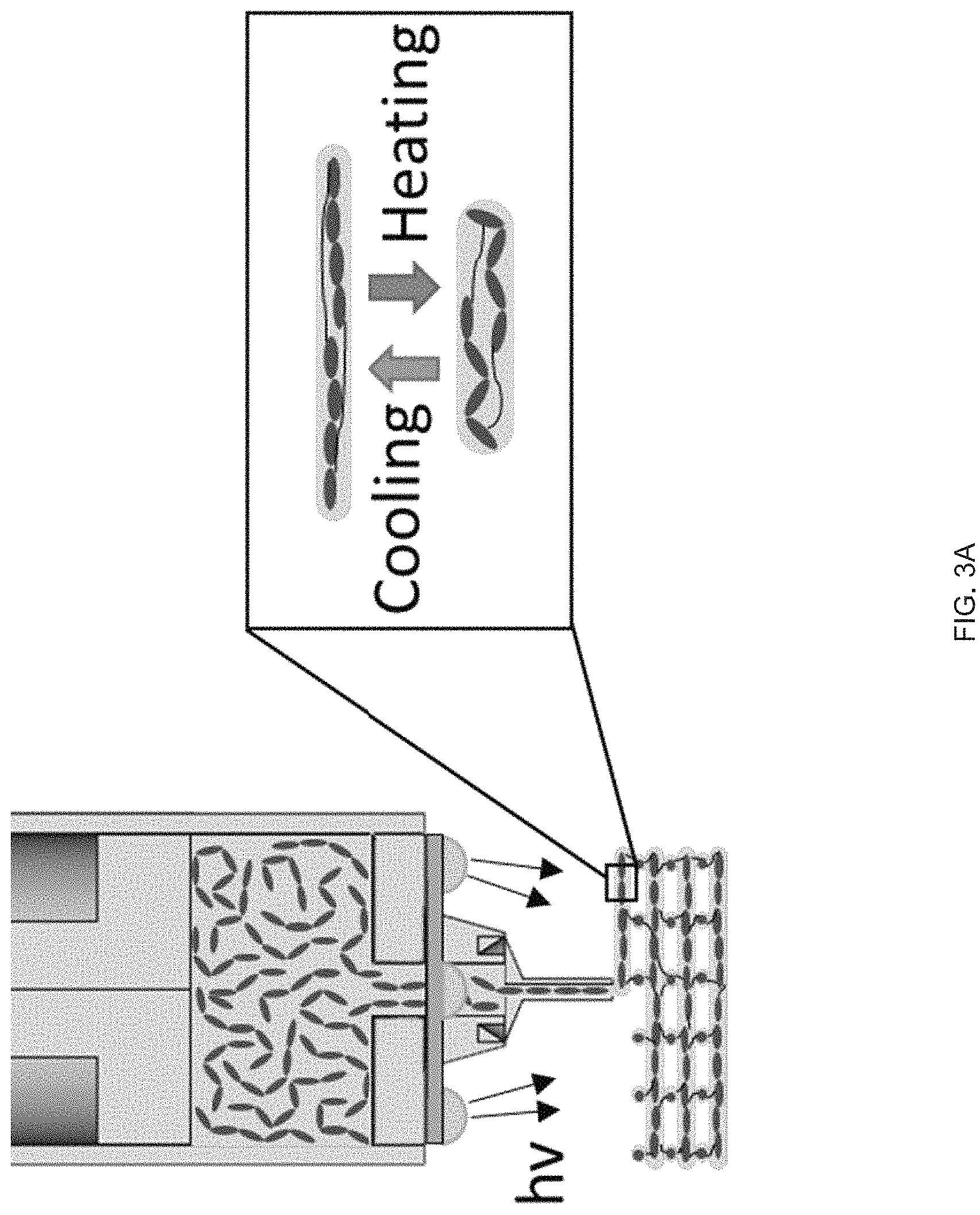 Patent US11780154 Figure 3 – Extrusion printing of liquid crystal elastomers