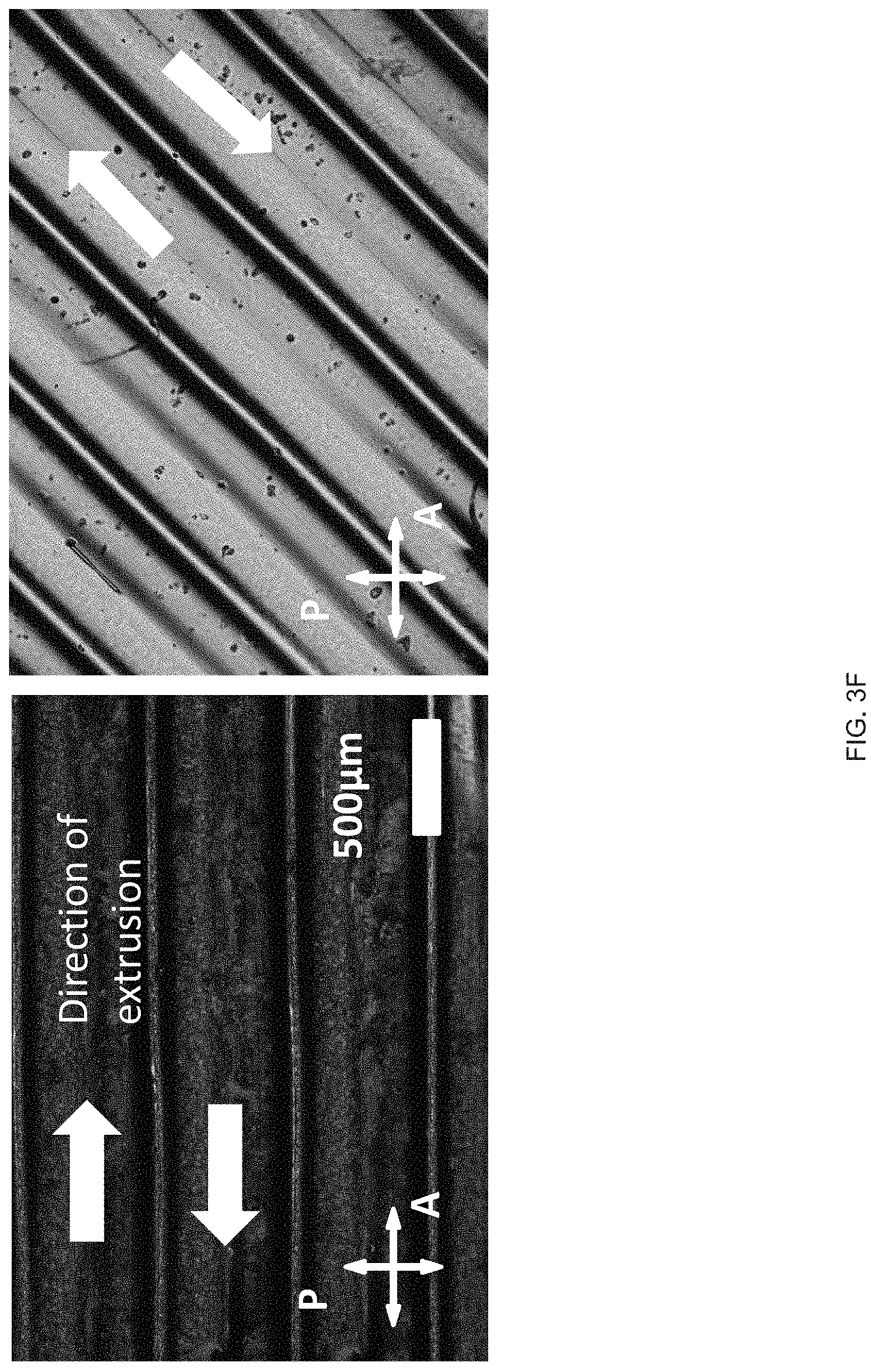 Patent US11780154 Figure 8 – Extrusion printing of liquid crystal elastomers