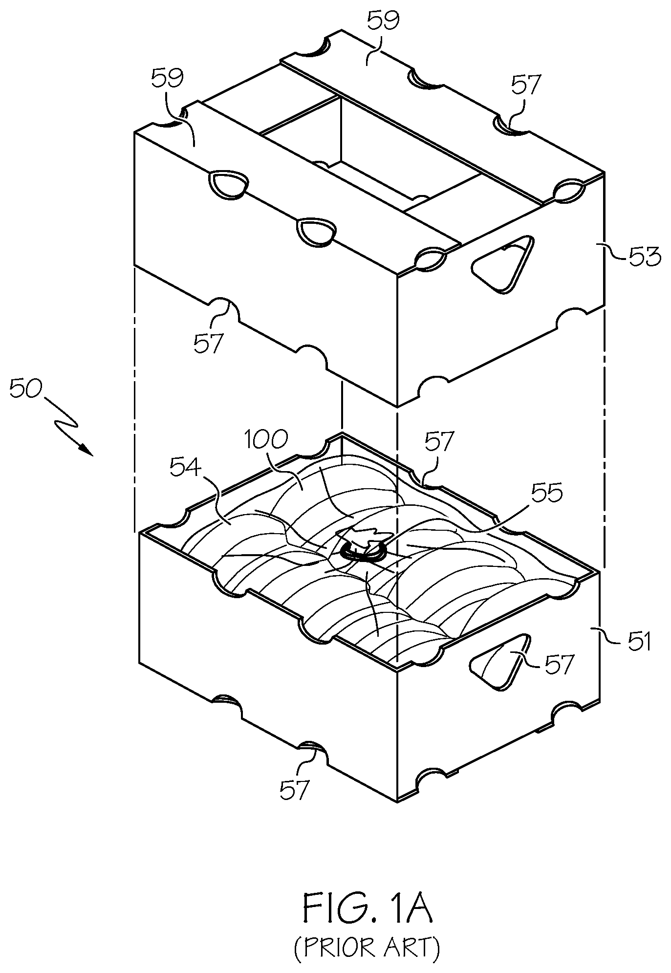 Patent US11780639 Figure 1 – Optimized system, box and bag for packing, shipping, storing and displaying produce