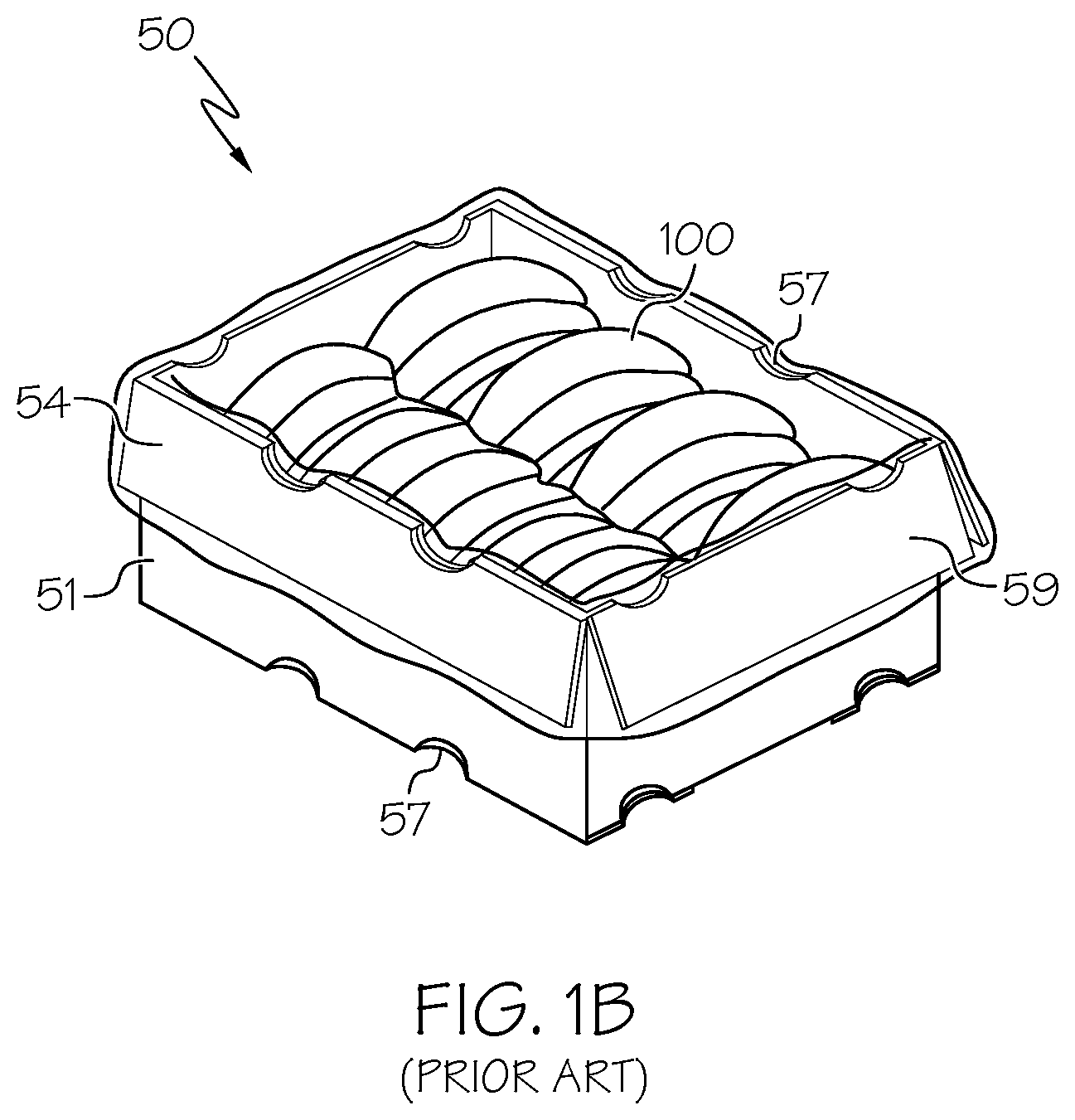Patent US11780639 Figure 2 – Optimized system, box and bag for packing, shipping, storing and displaying produce