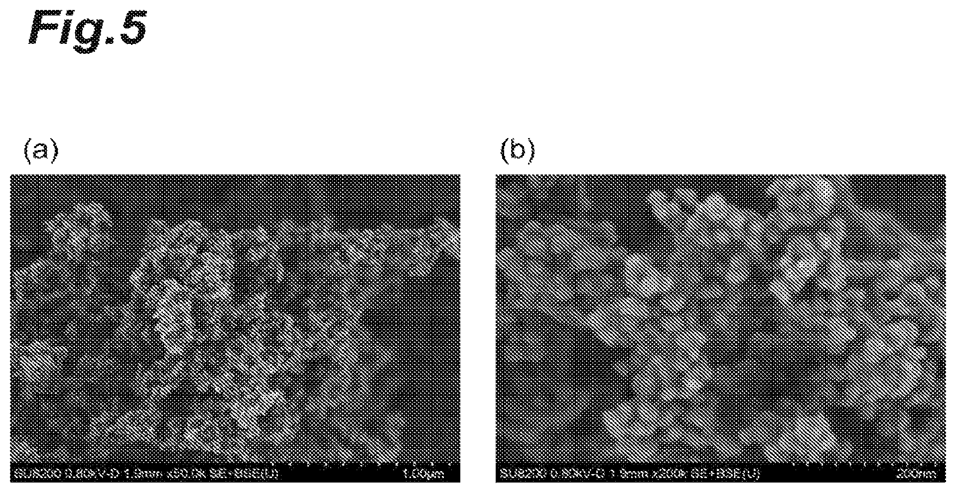 Patent US11780735 Figure 5 – Aerogel composite, and supporting member and heat insulation material provided with aerogel composite