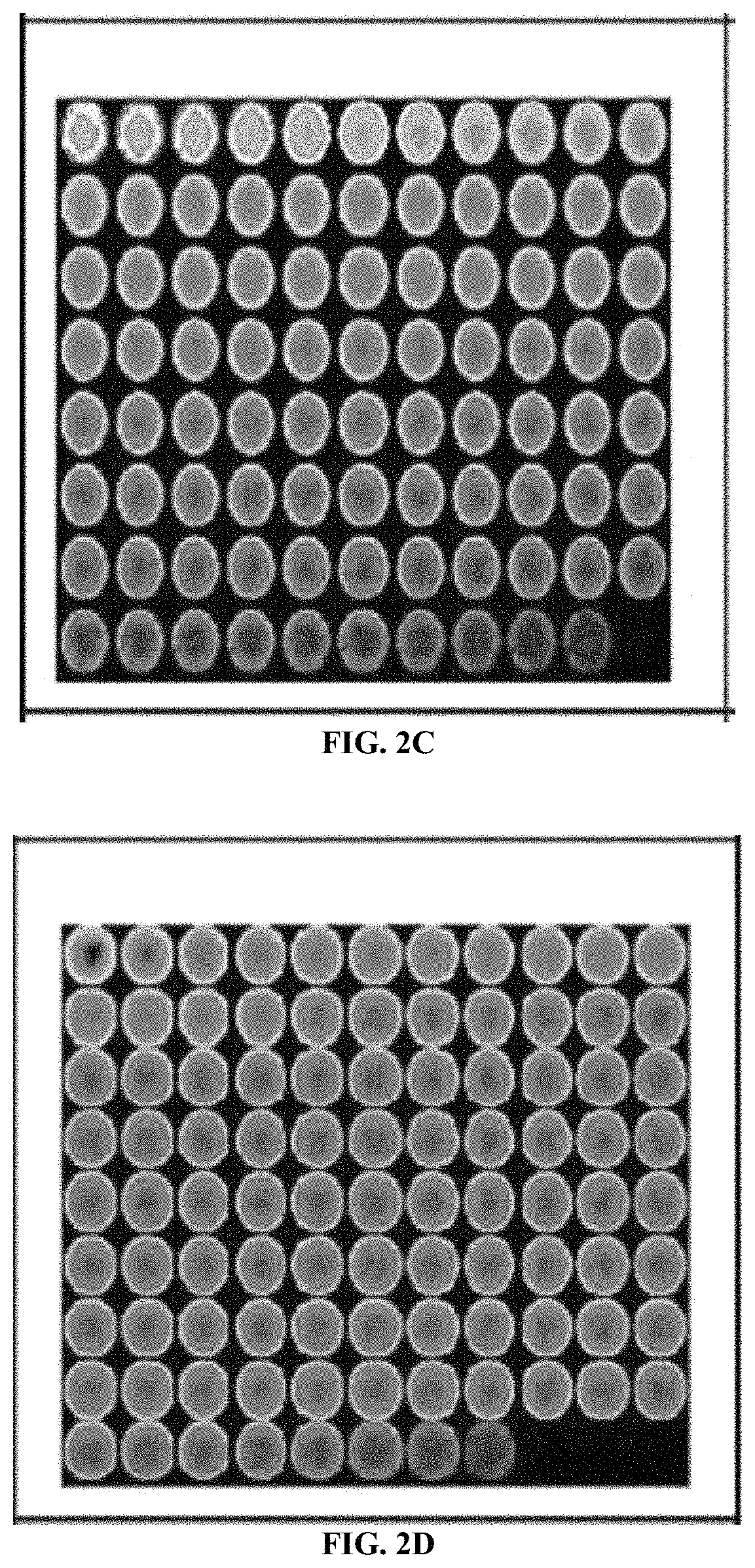 Patent US11780775 Figure 3 – Cement compositions containing phyllosilicate and methods of use