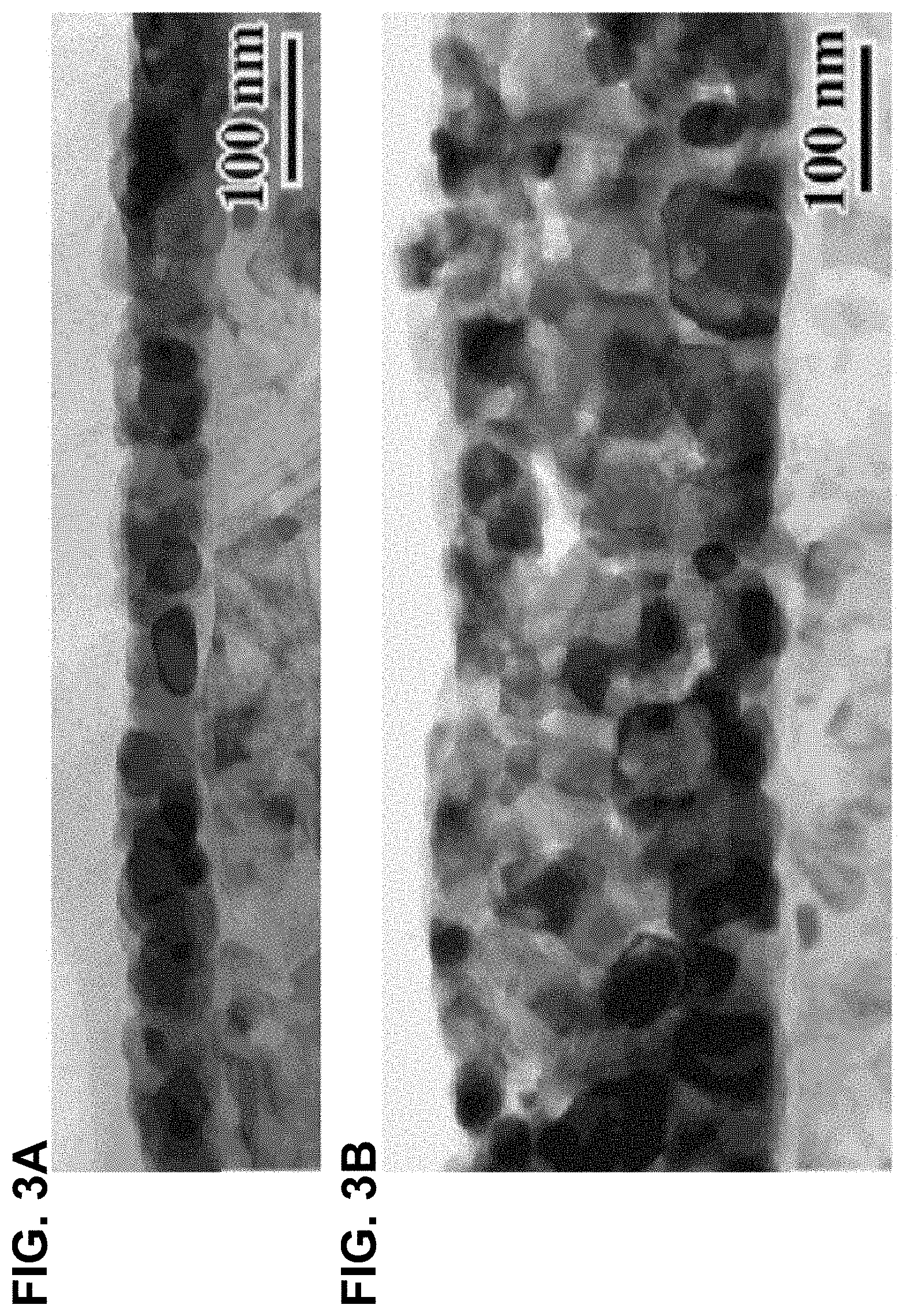 Patent US11780780 Figure 3 – Oxidation-resistant fiber coatings and related methods