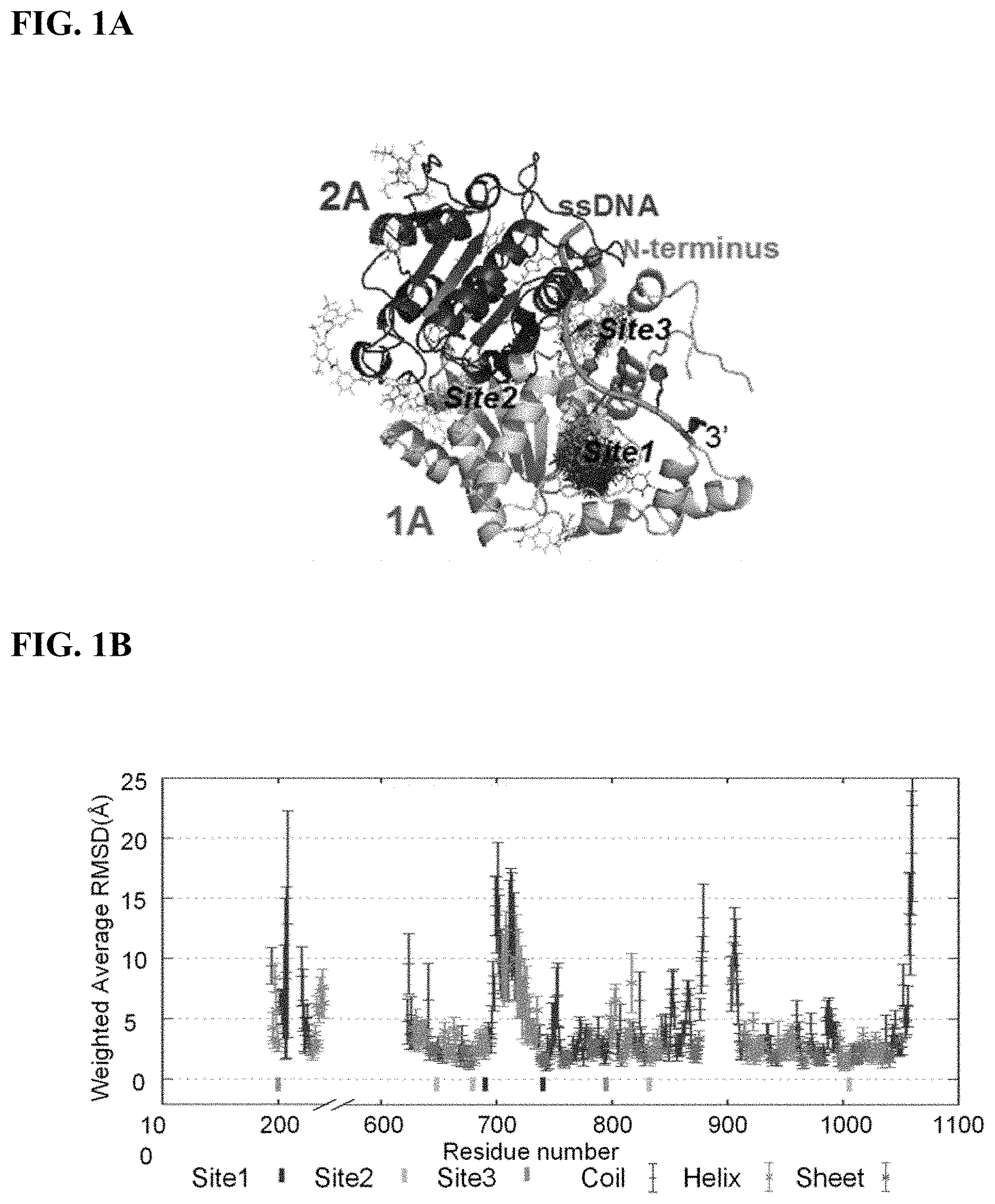 Patent US11780815 Figure 1 – DNA2 inhibitors for cancer treatment