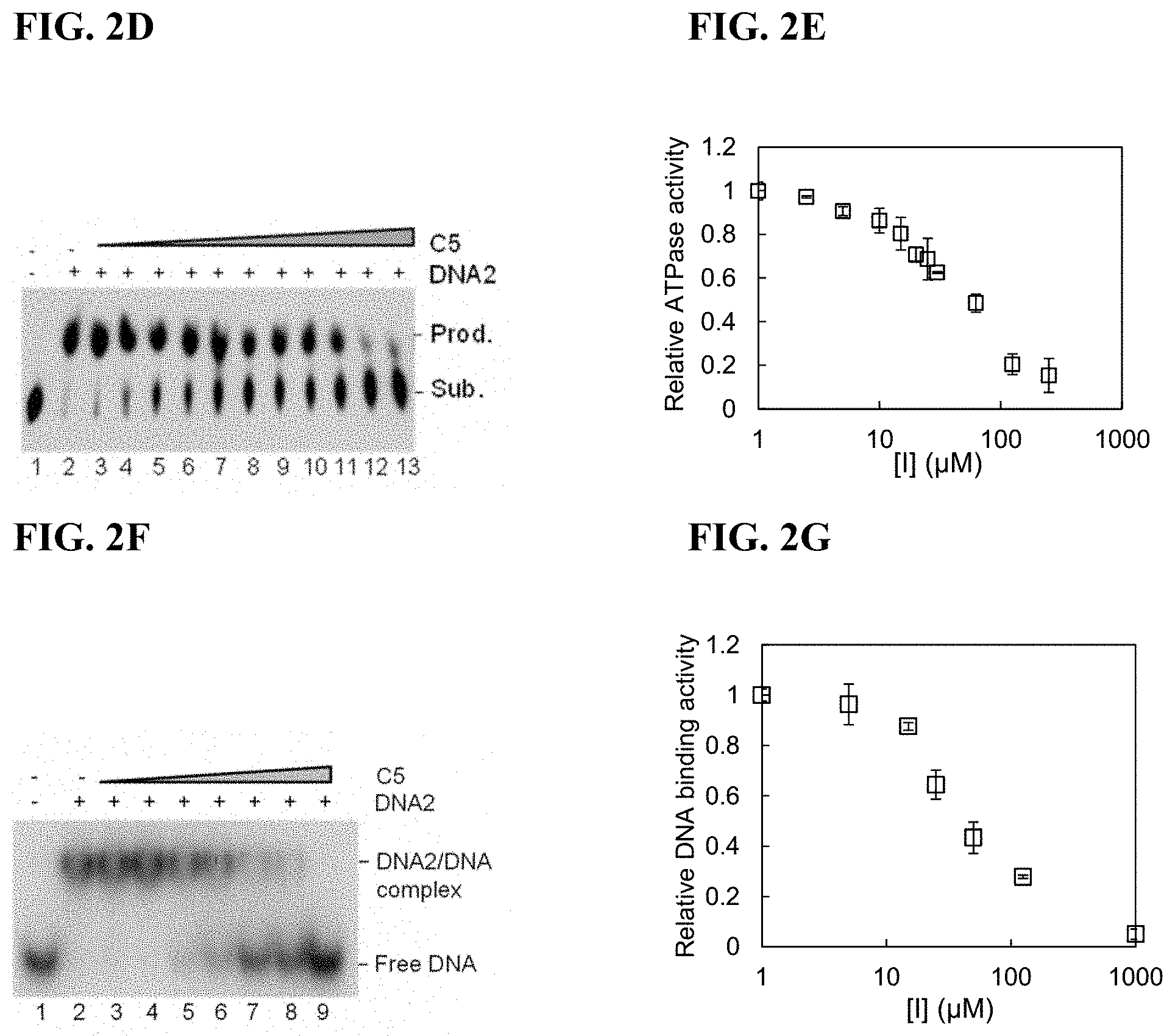 Patent US11780815 Figure 4 – DNA2 inhibitors for cancer treatment