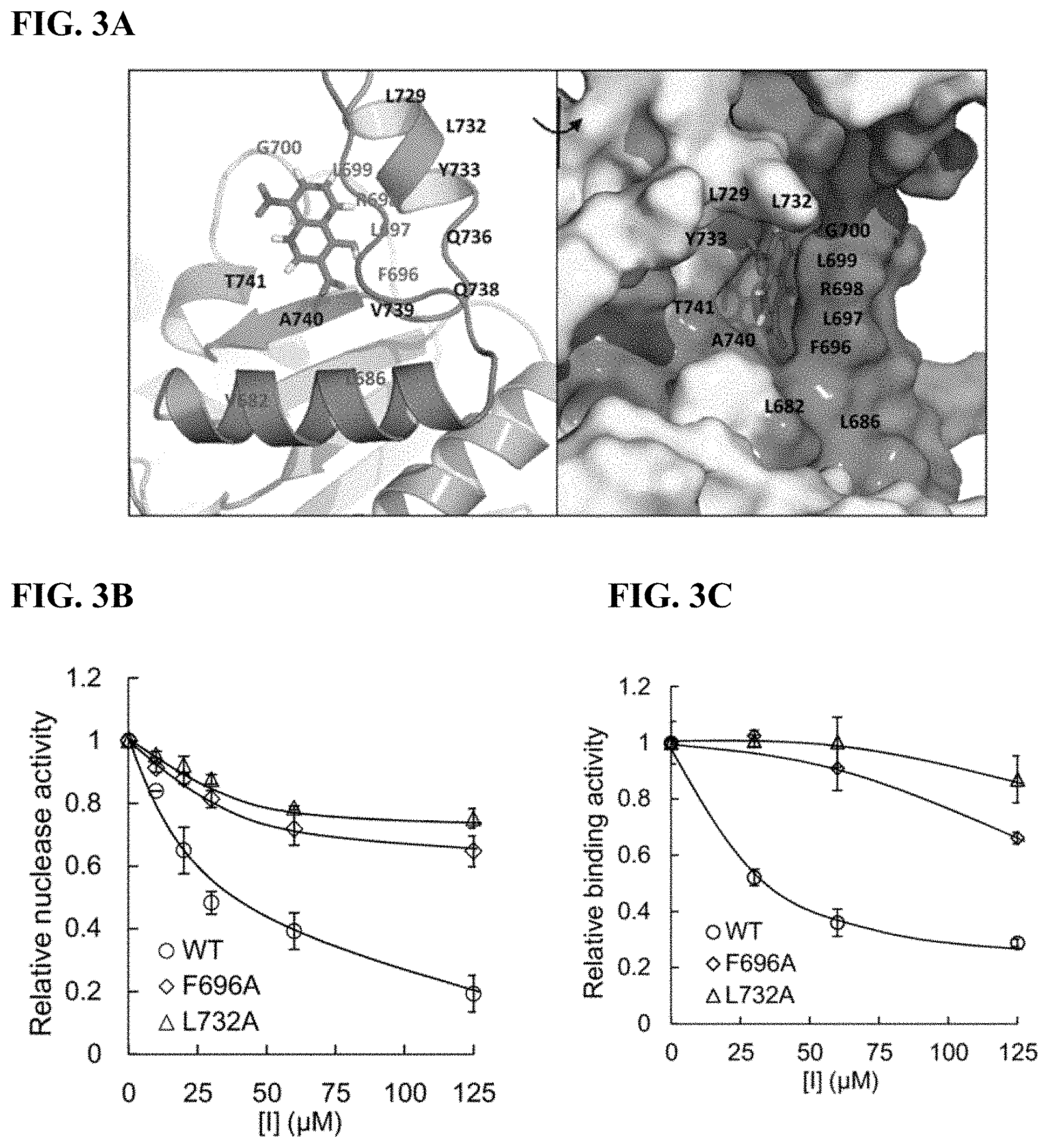 Patent US11780815 Figure 5 – DNA2 inhibitors for cancer treatment