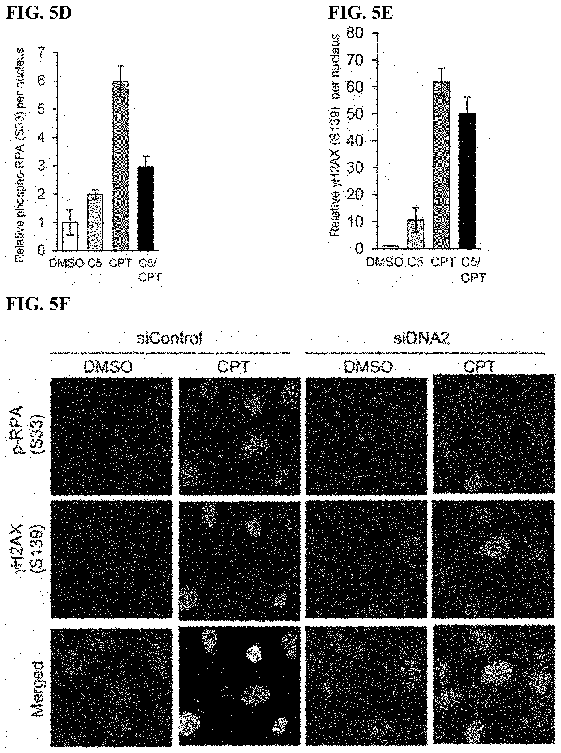 Patent US11780815 Figure 10 – DNA2 inhibitors for cancer treatment