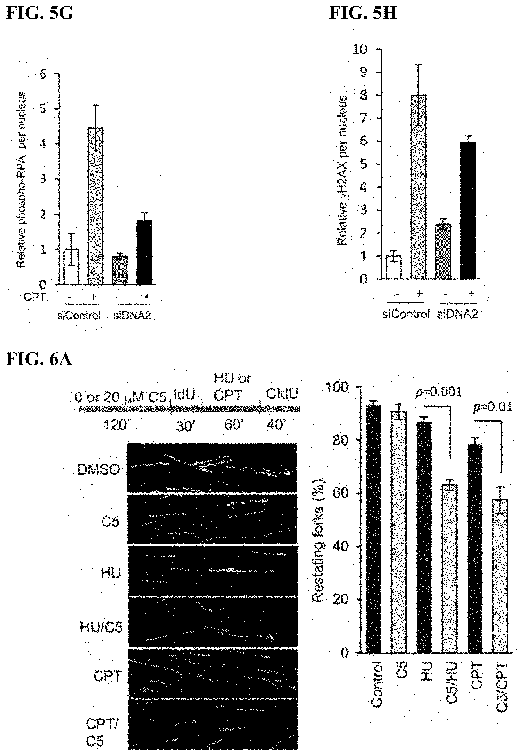 Patent US11780815 Figure 11 – DNA2 inhibitors for cancer treatment