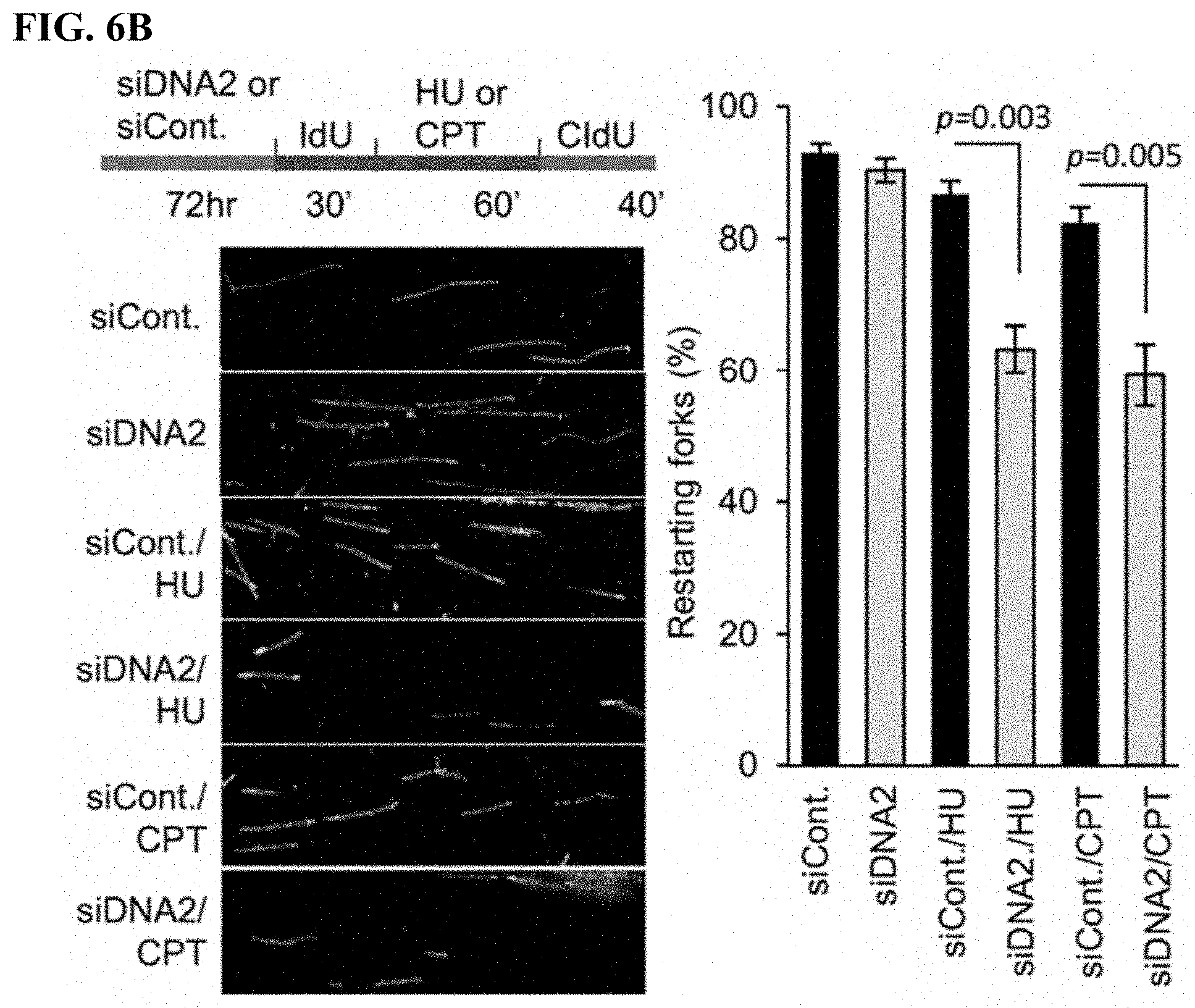 Patent US11780815 Figure 12 – DNA2 inhibitors for cancer treatment