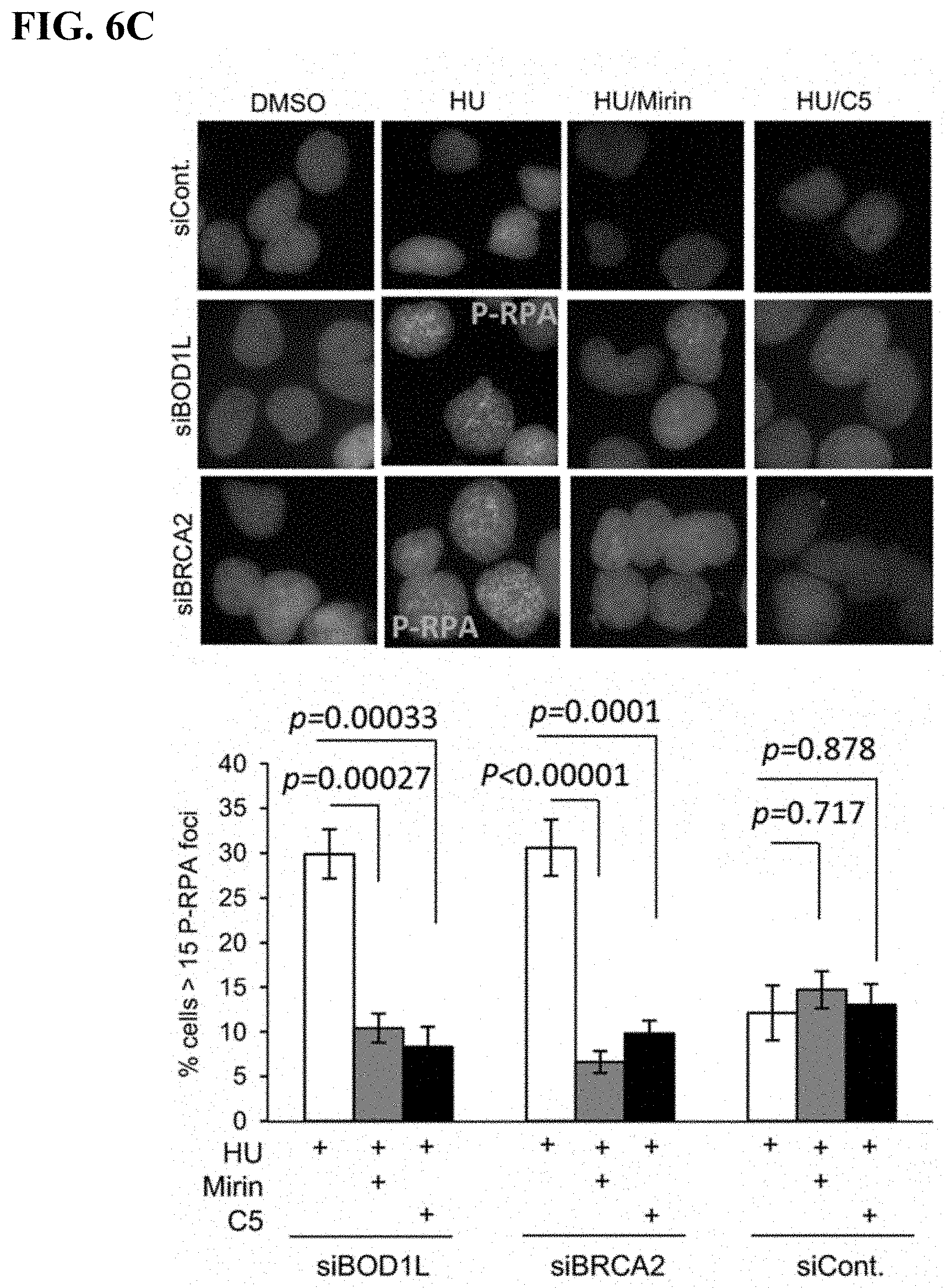 Patent US11780815 Figure 13 – DNA2 inhibitors for cancer treatment