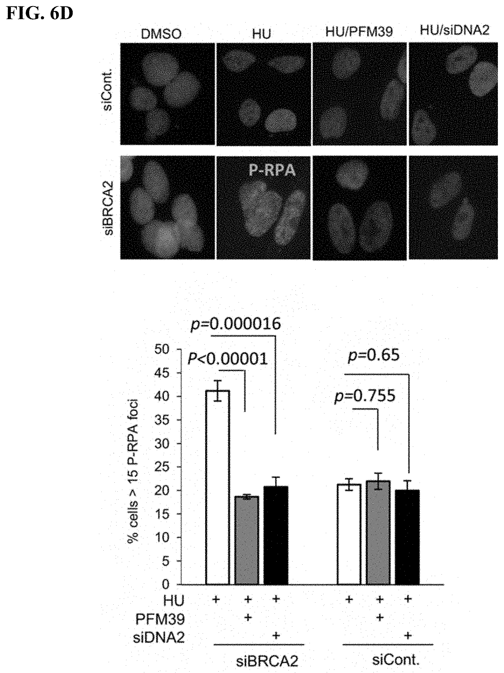 Patent US11780815 Figure 14 – DNA2 inhibitors for cancer treatment