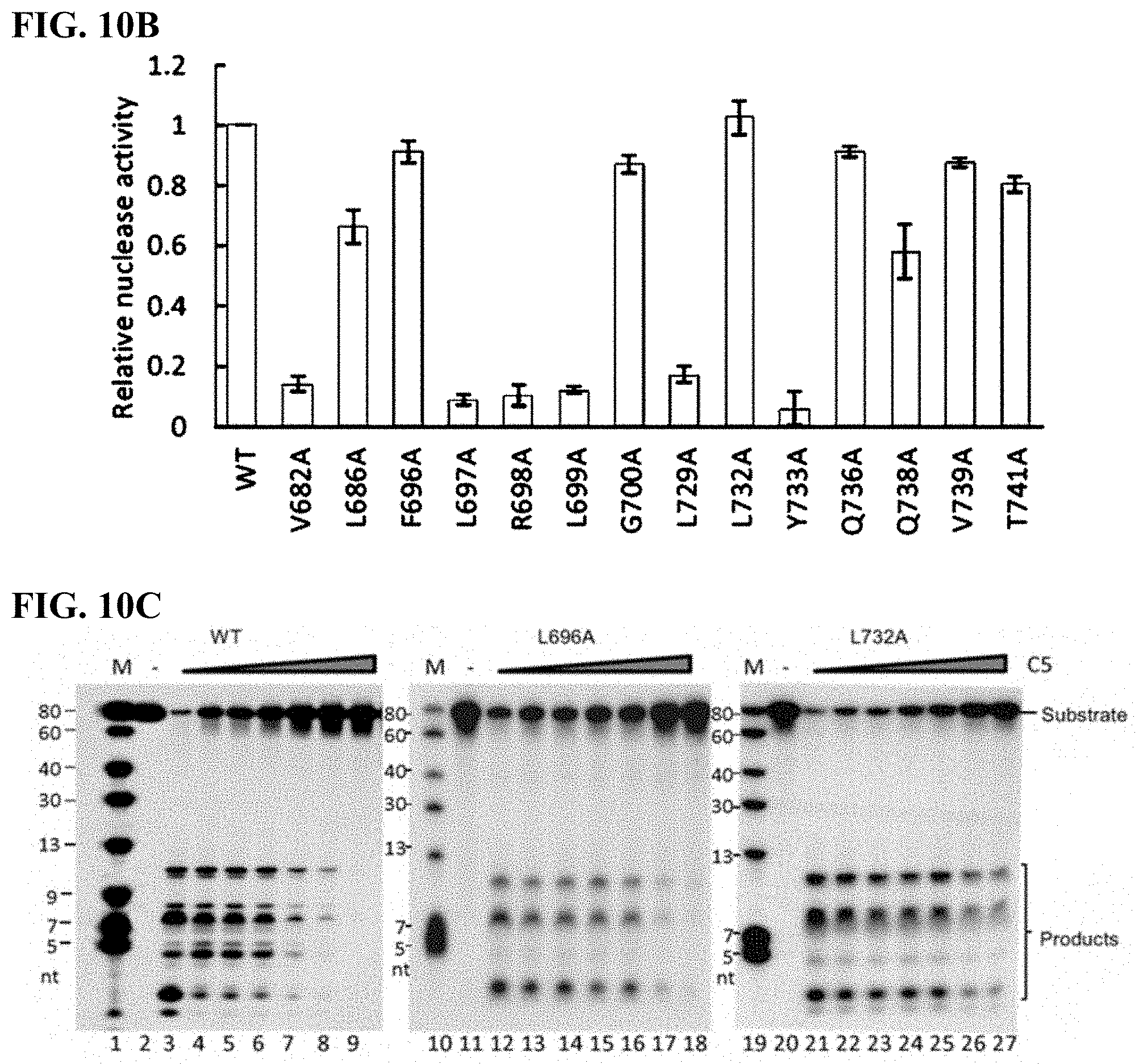 Patent US11780815 Figure 20 – DNA2 inhibitors for cancer treatment