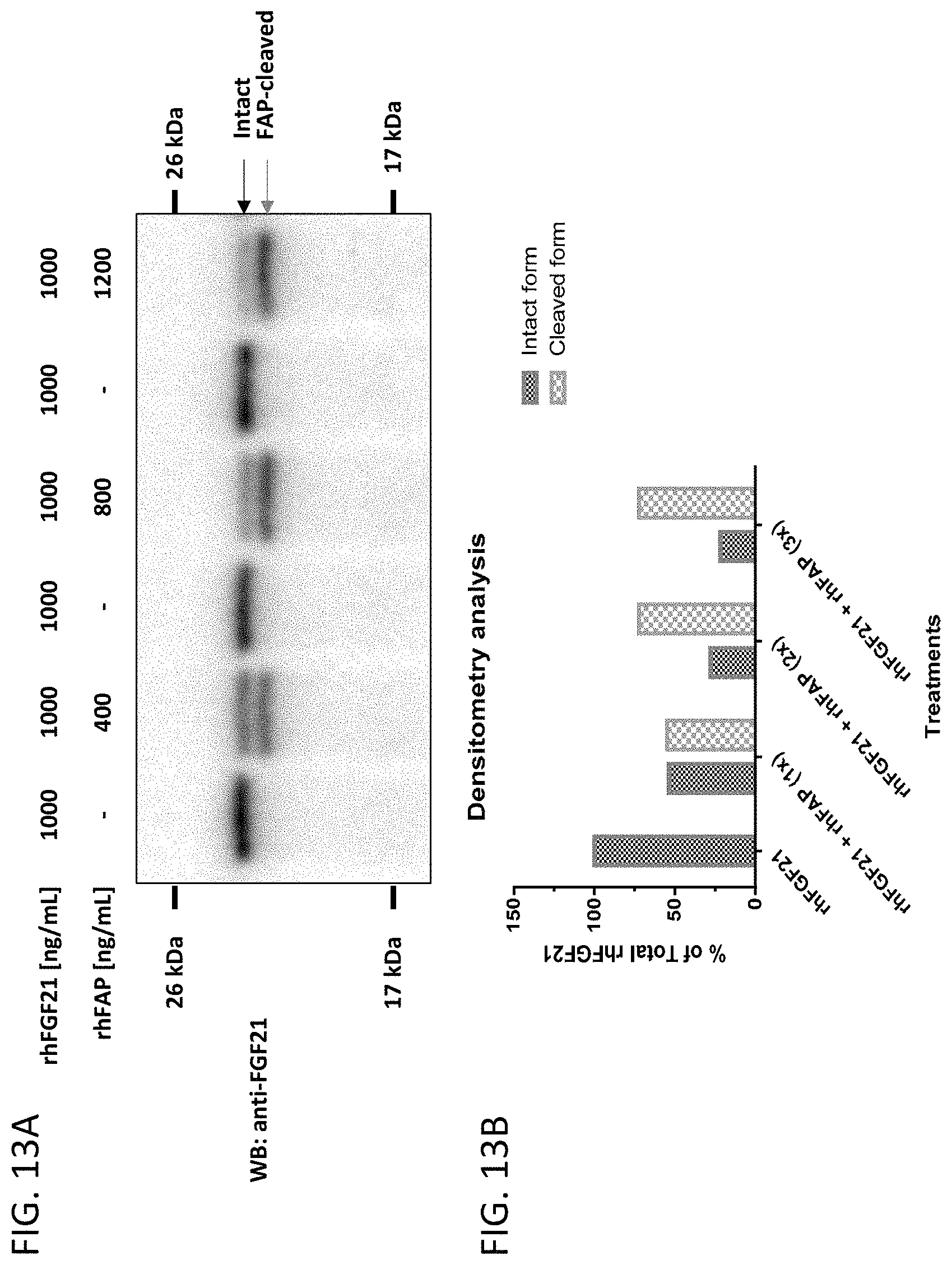 Patent US11780821 Figure 12 – Inhibitors of fibroblast activation protein